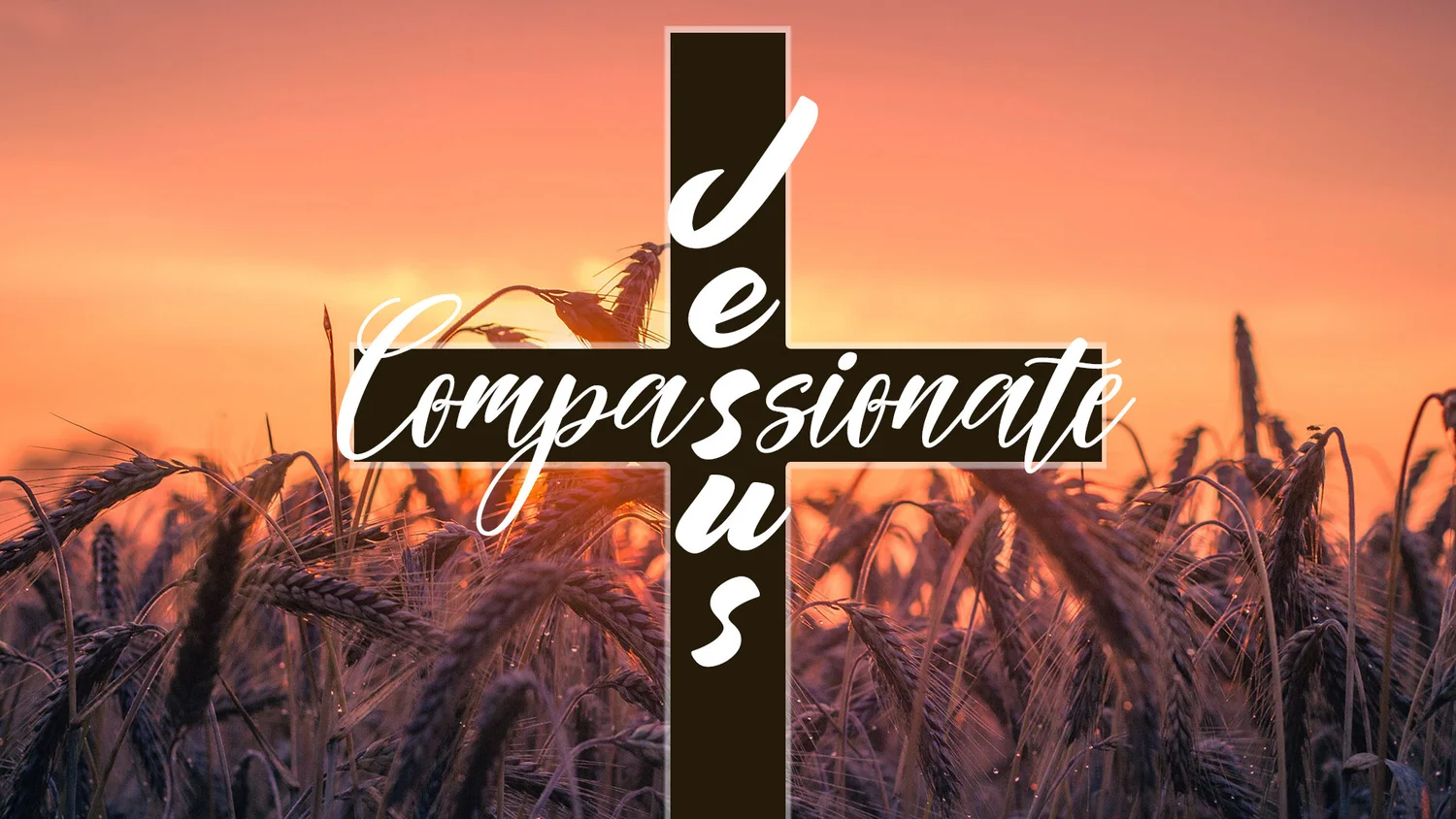 Compassionate Jesus | Guest Speaker: Josh Nink episode artwork