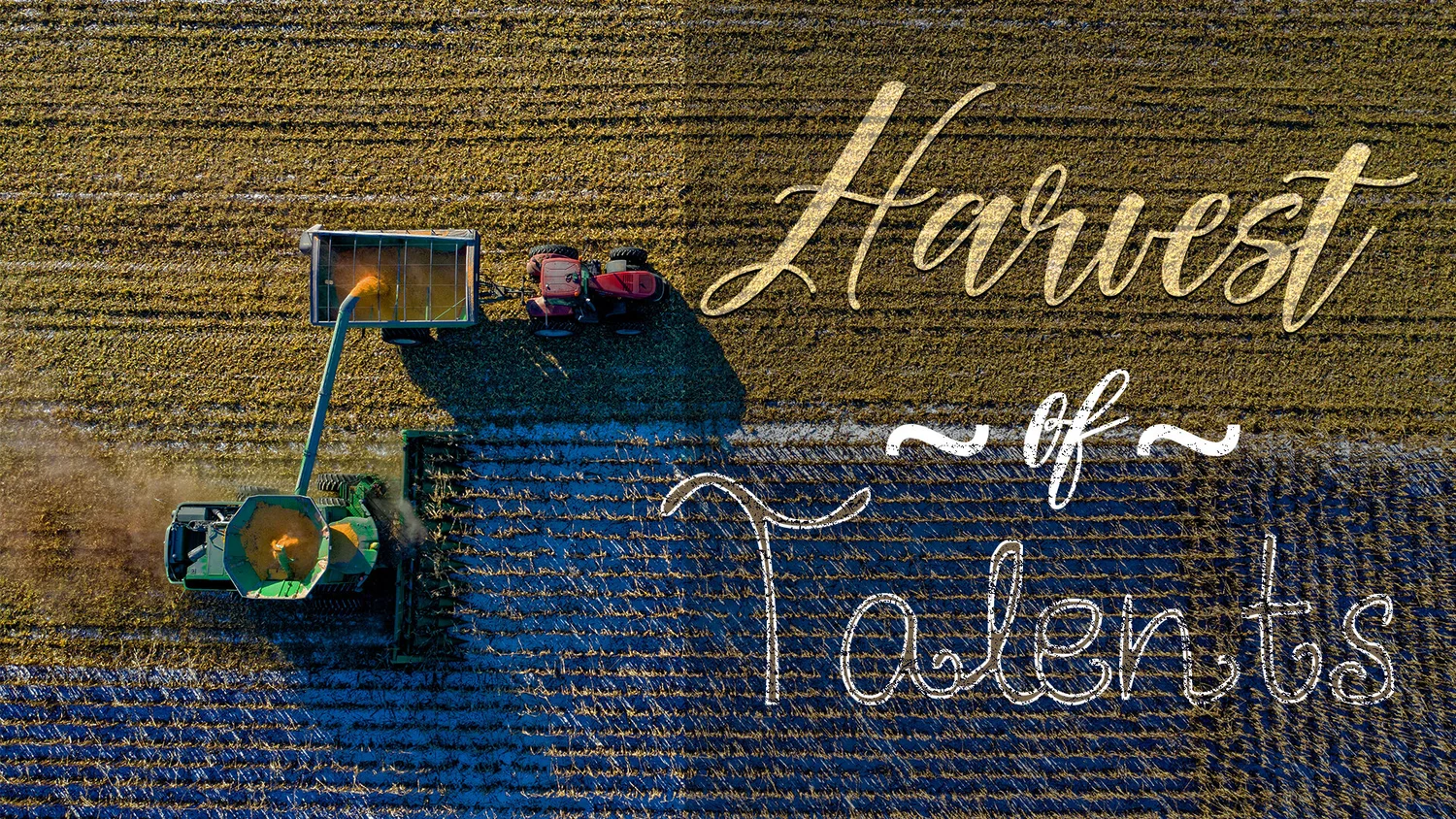 Harvest of Talents episode artwork