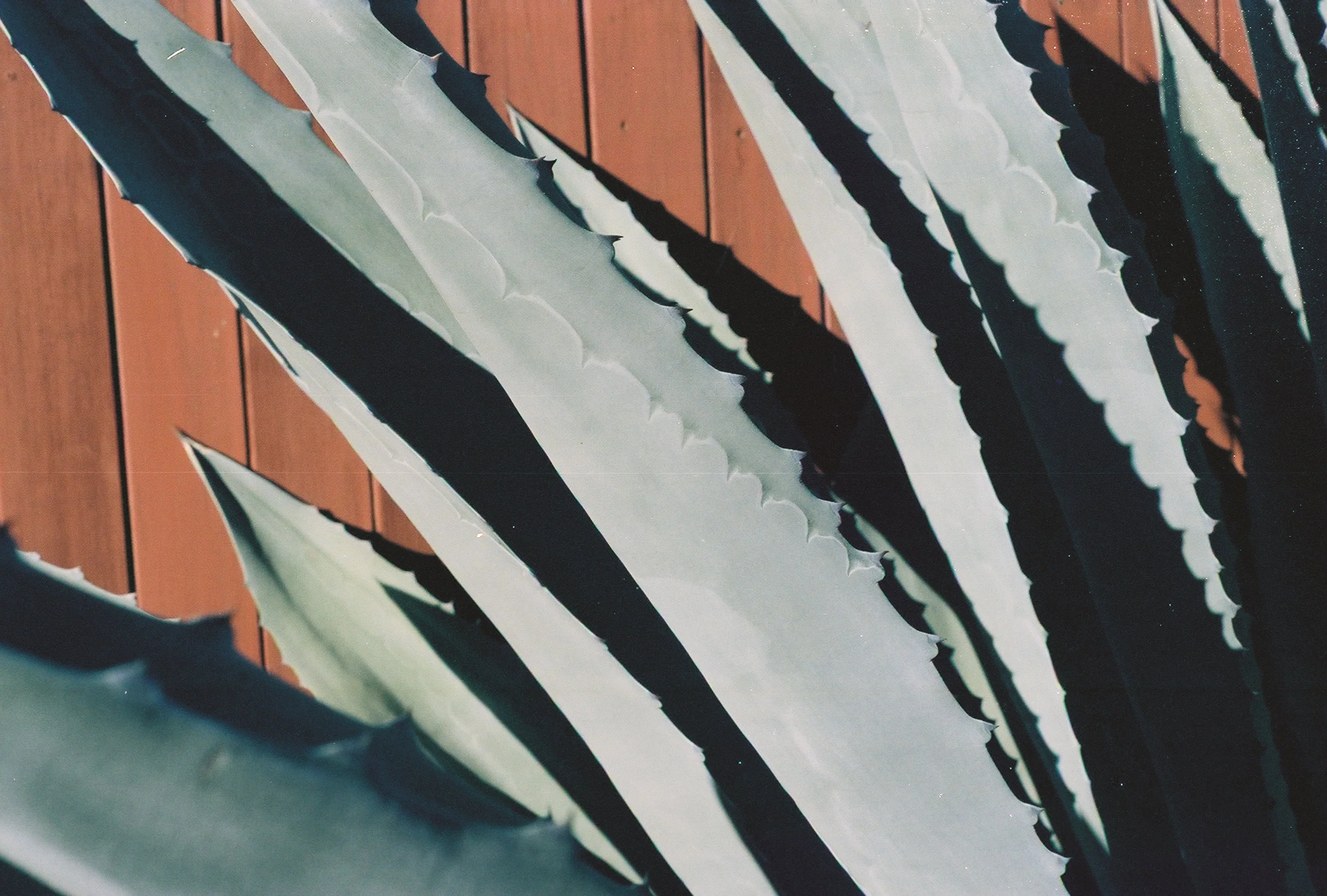 0019765-034.Jpg