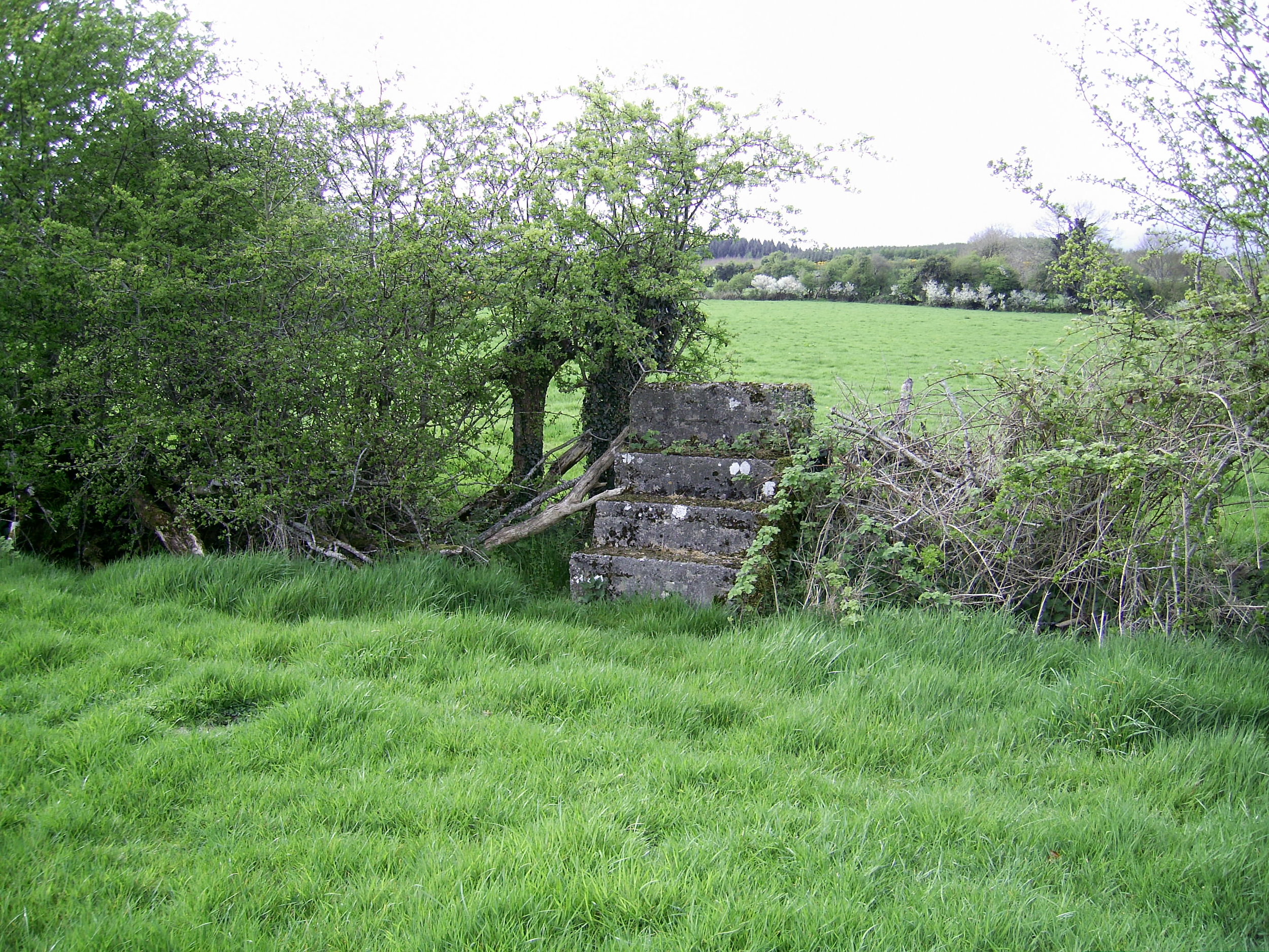 This stile, made of concrete, is made of materials that say little about the territory.