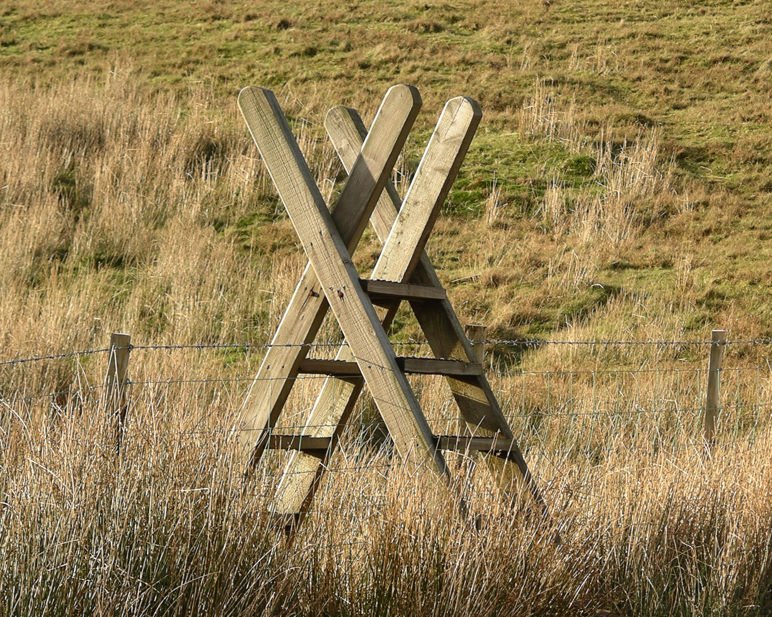 Simple co-operation between two ladders successfully accomplishes the task, and with bracing for the upper body.