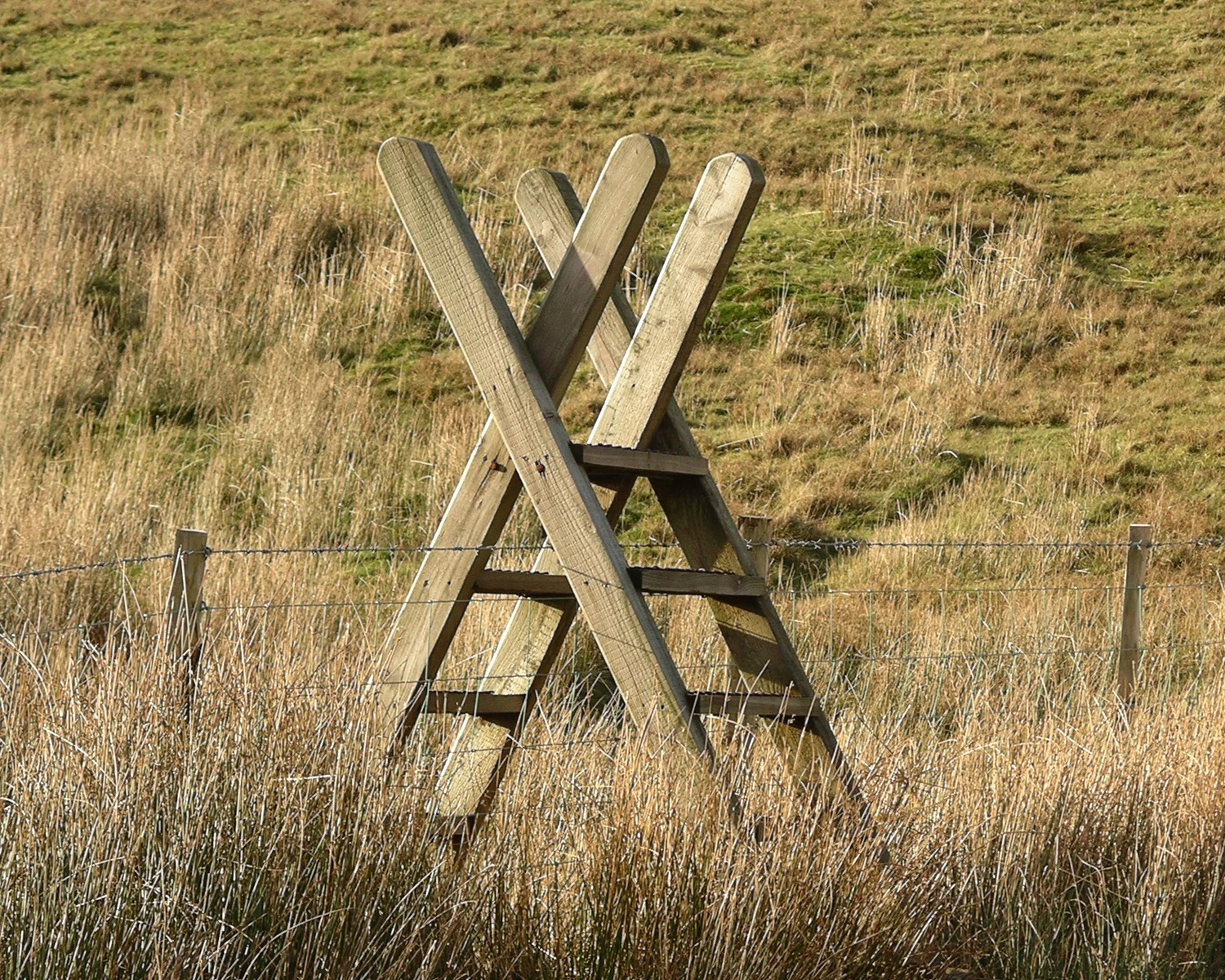 Simple co-operation between two ladders successfully accomplishes the task, and with bracing for the upper body.
