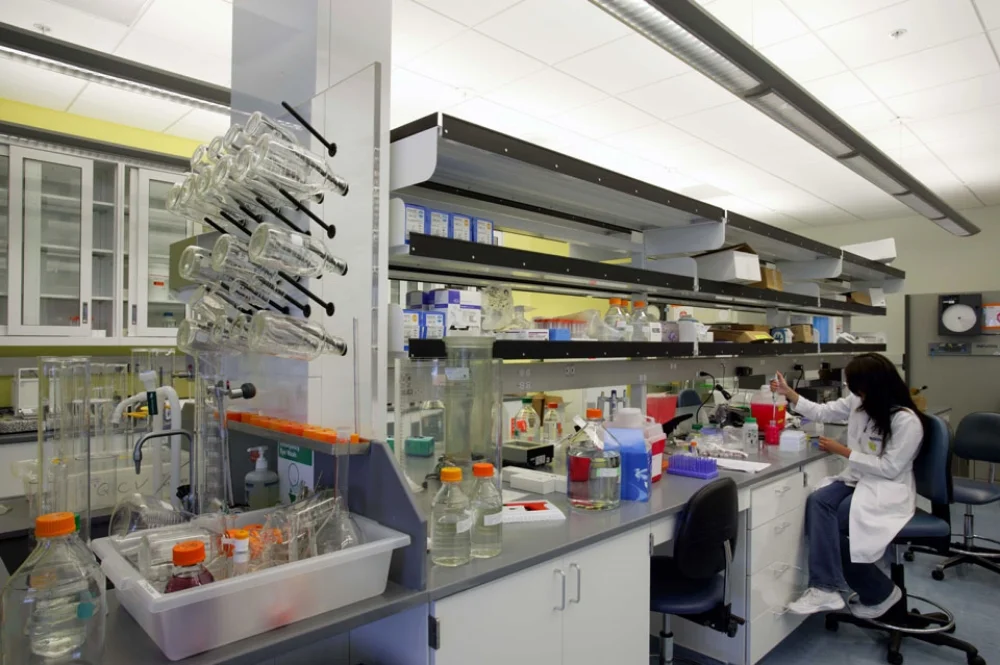 Molecular Biology