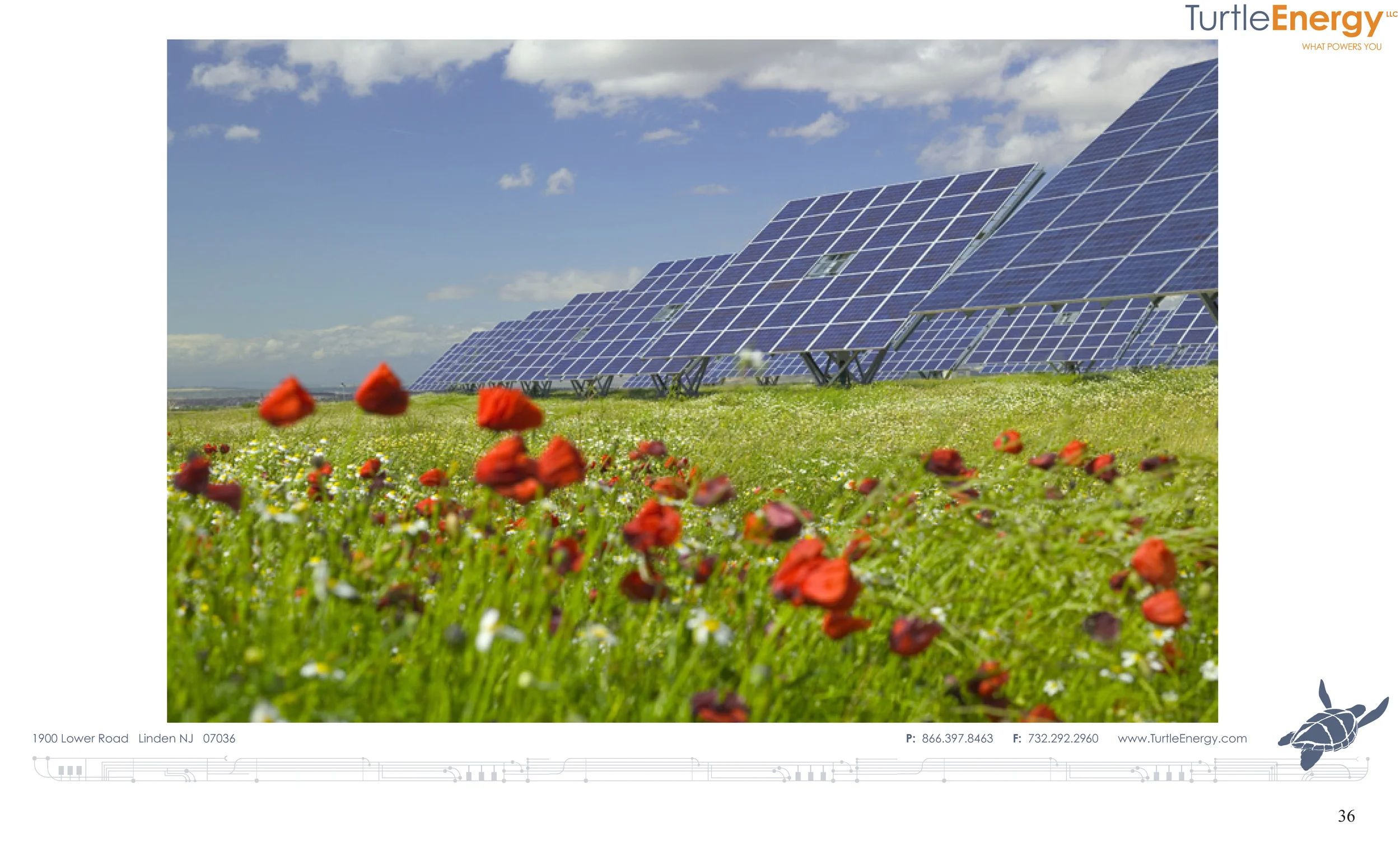 Figure 22: Dual axis trackers–they produce twice as much energy as a fixed tilt module and use twice as much space.
