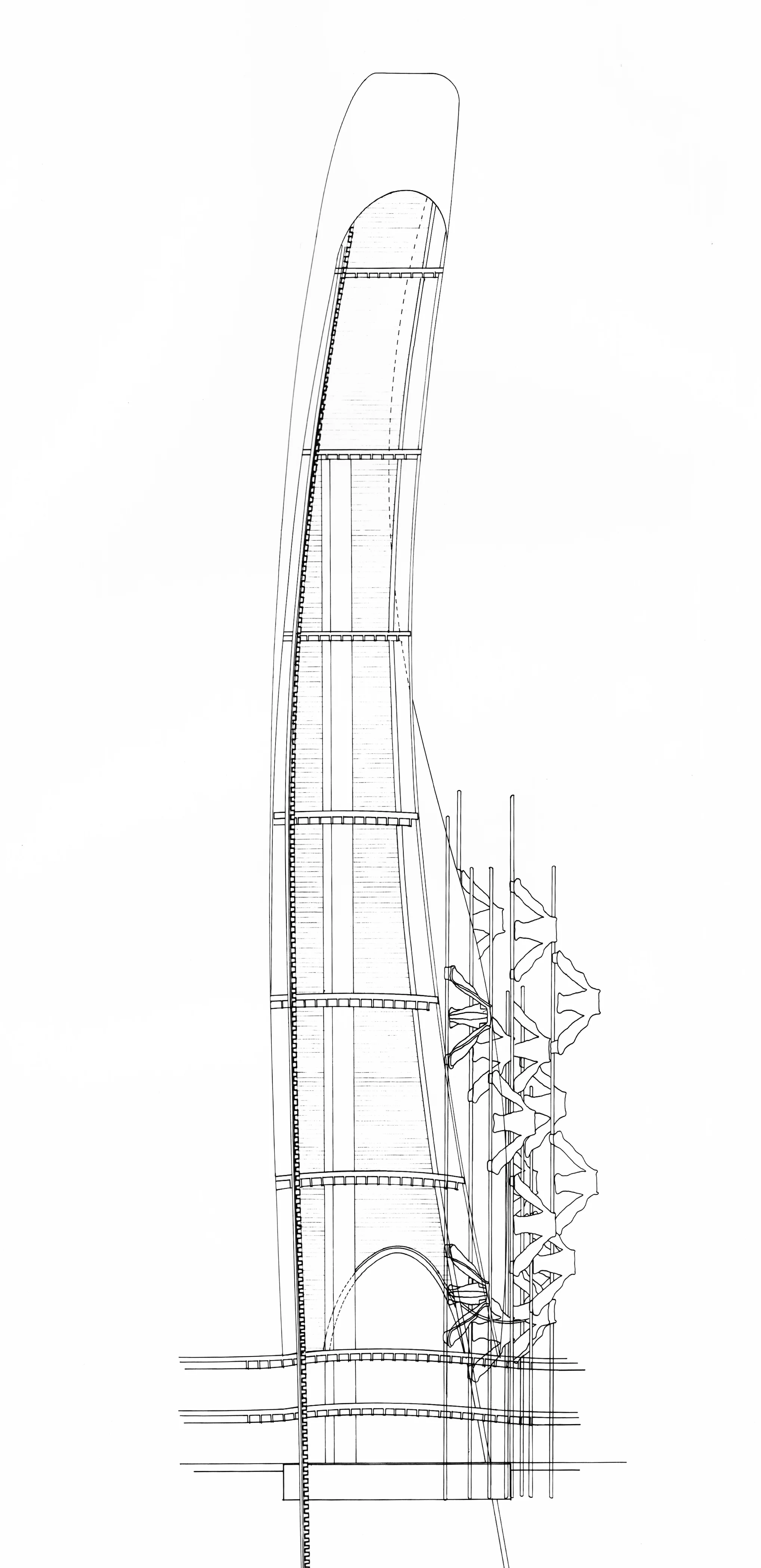 Figure 5: Section through Shell & Core (Drawing by John Millard)