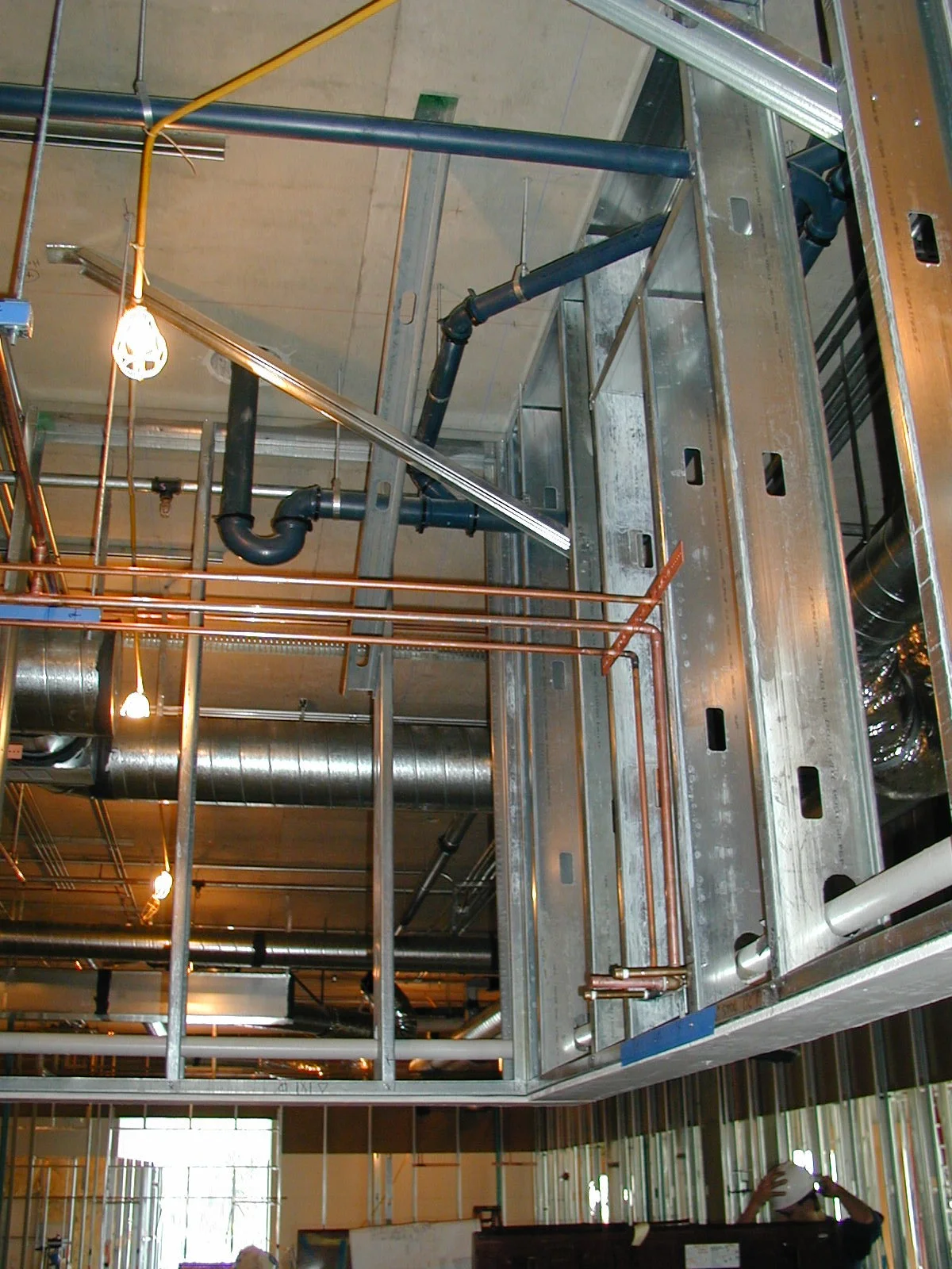 P4170003a.JPG
