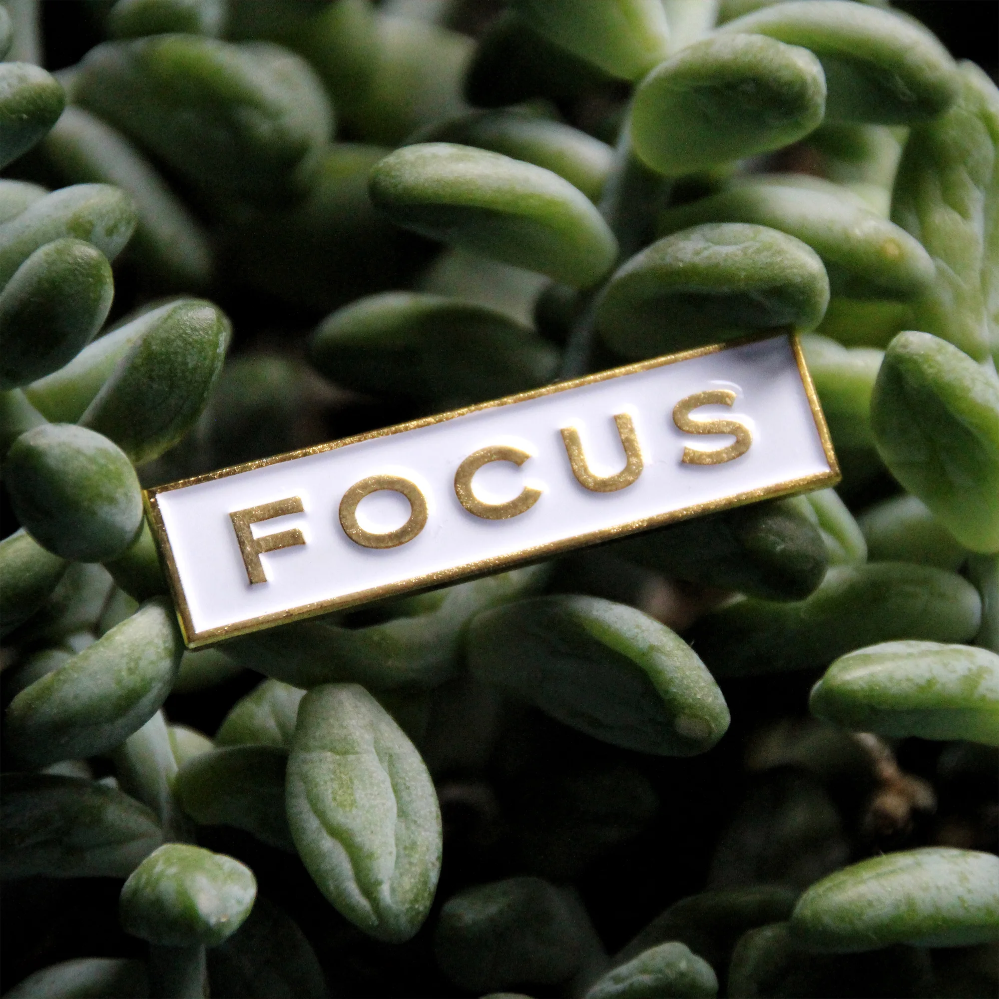 FocusPin_1.jpg