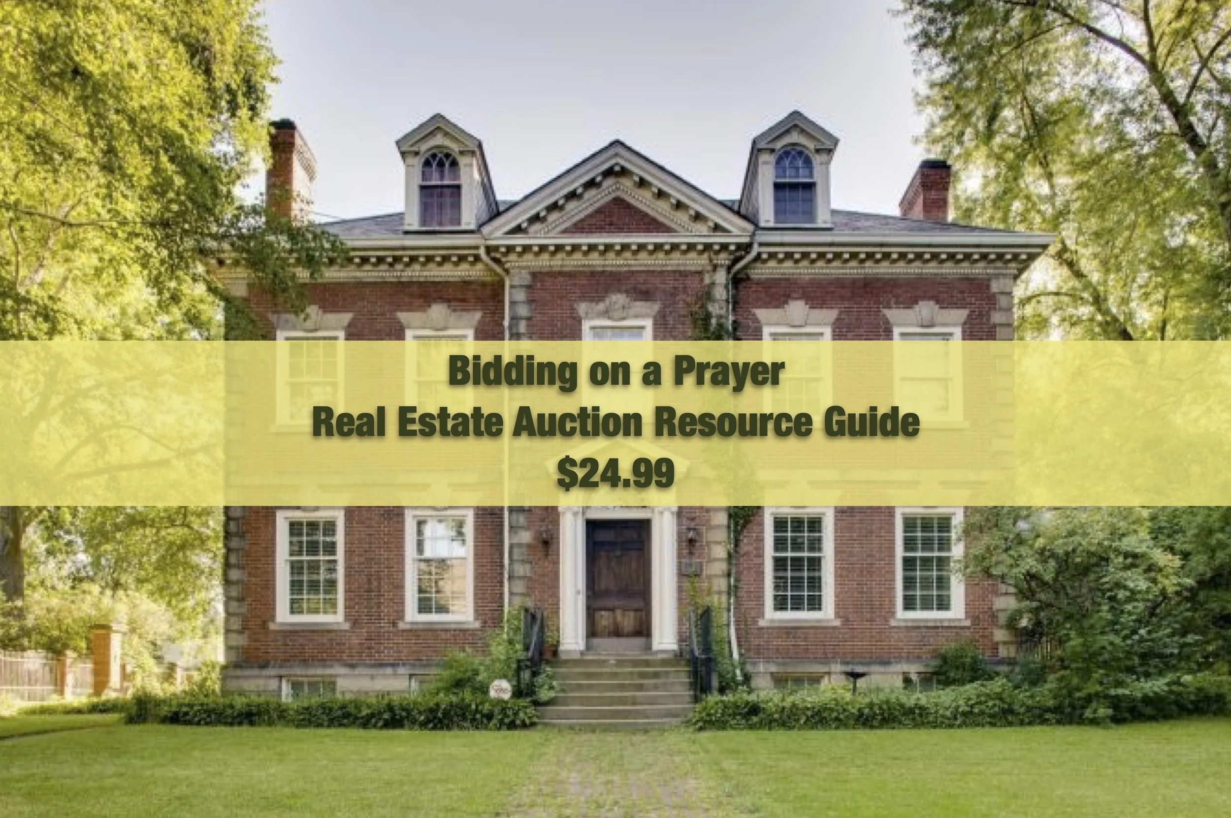 new auction guide image.jpg