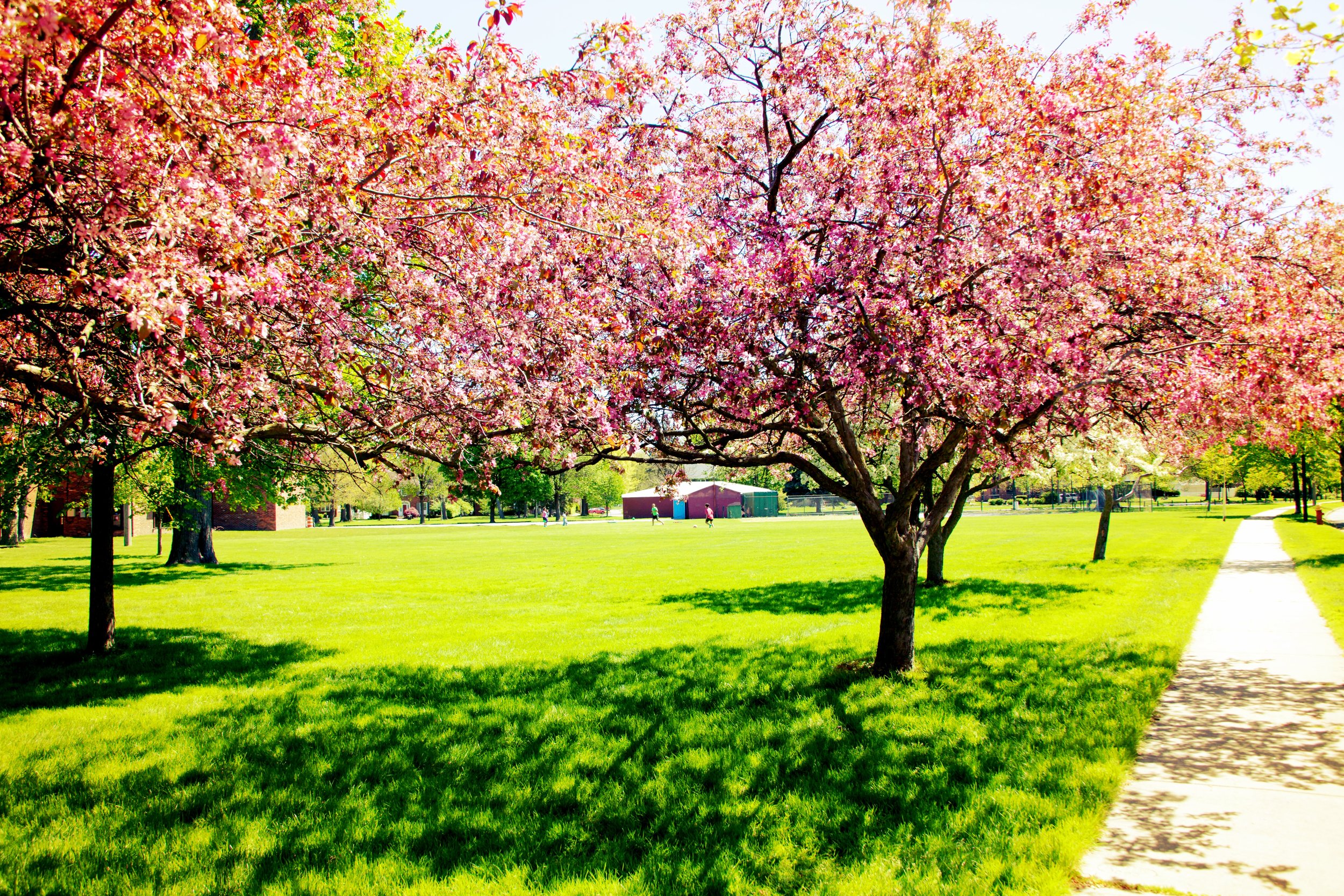 8 things Duggan and Snyder can do to help fix Detroit