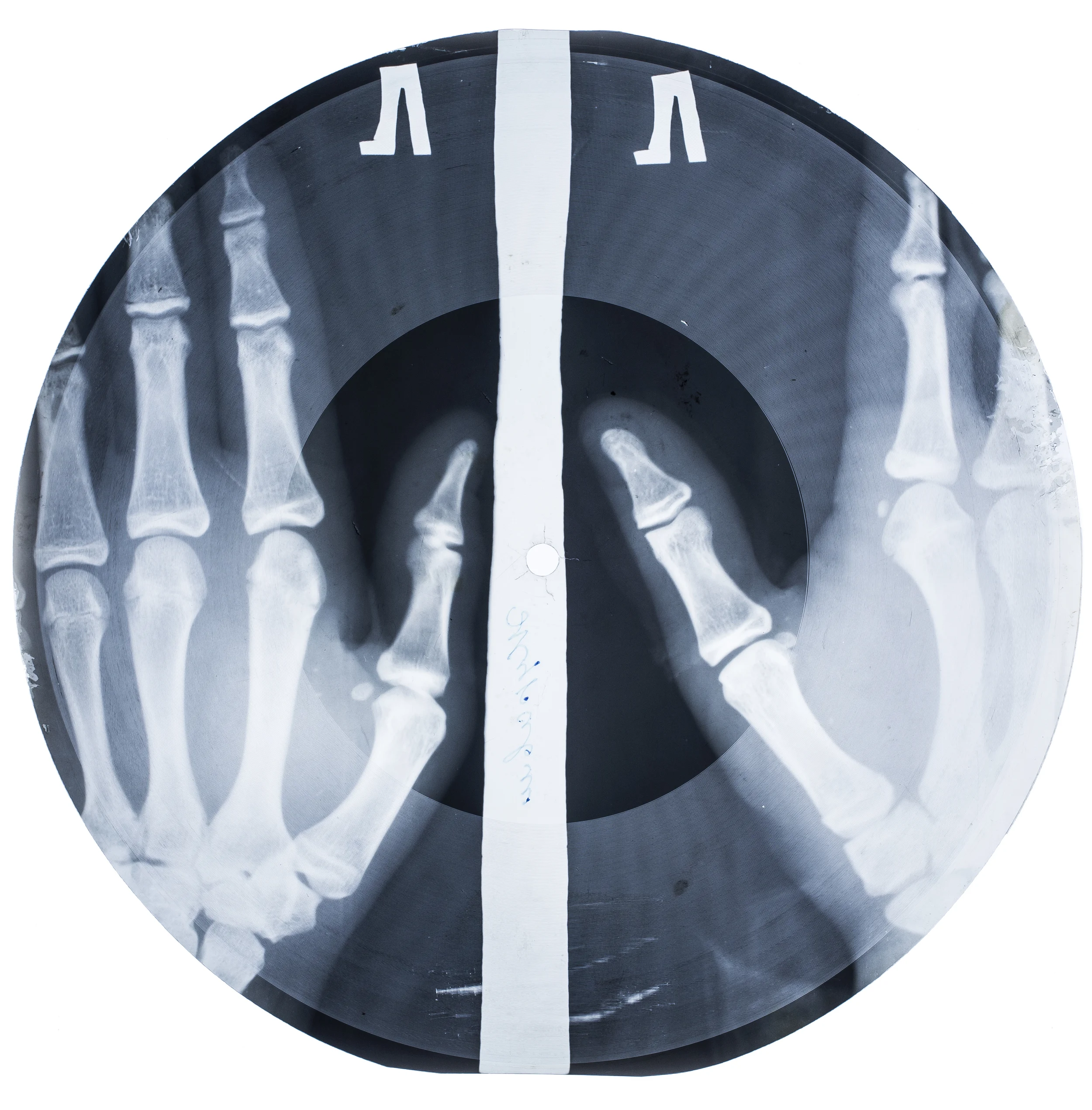 Bones-9455.jpg