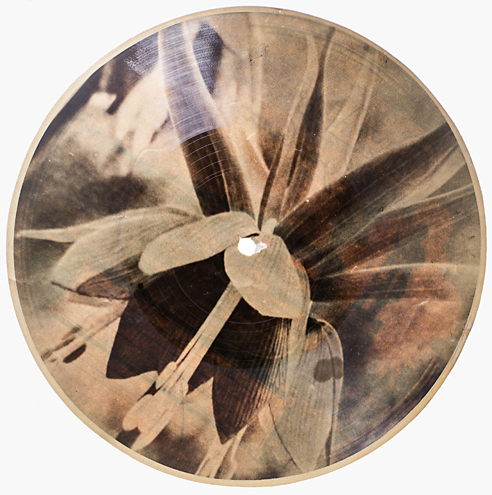 Bones Discs-5046.jpg