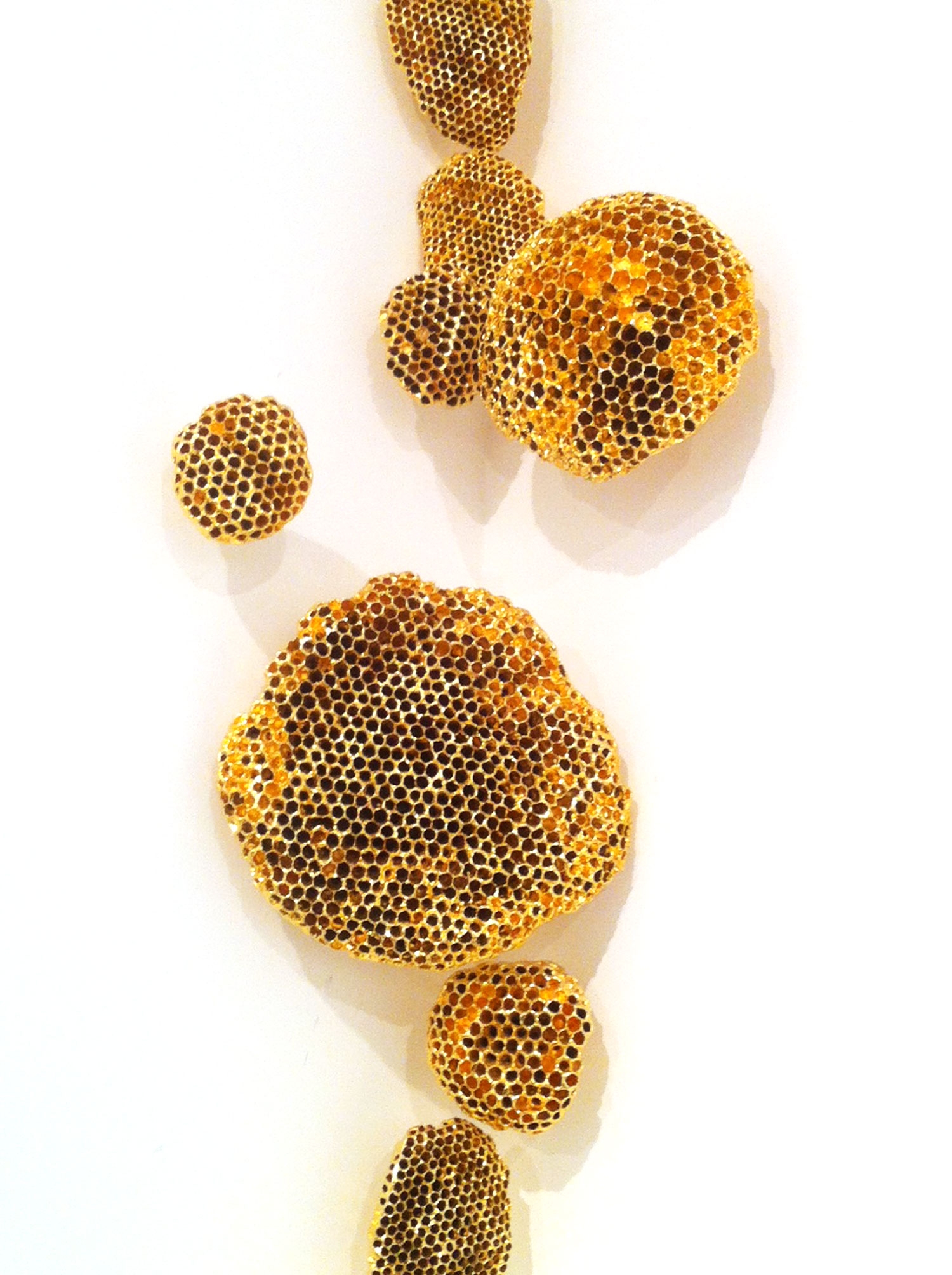 WASP Nests