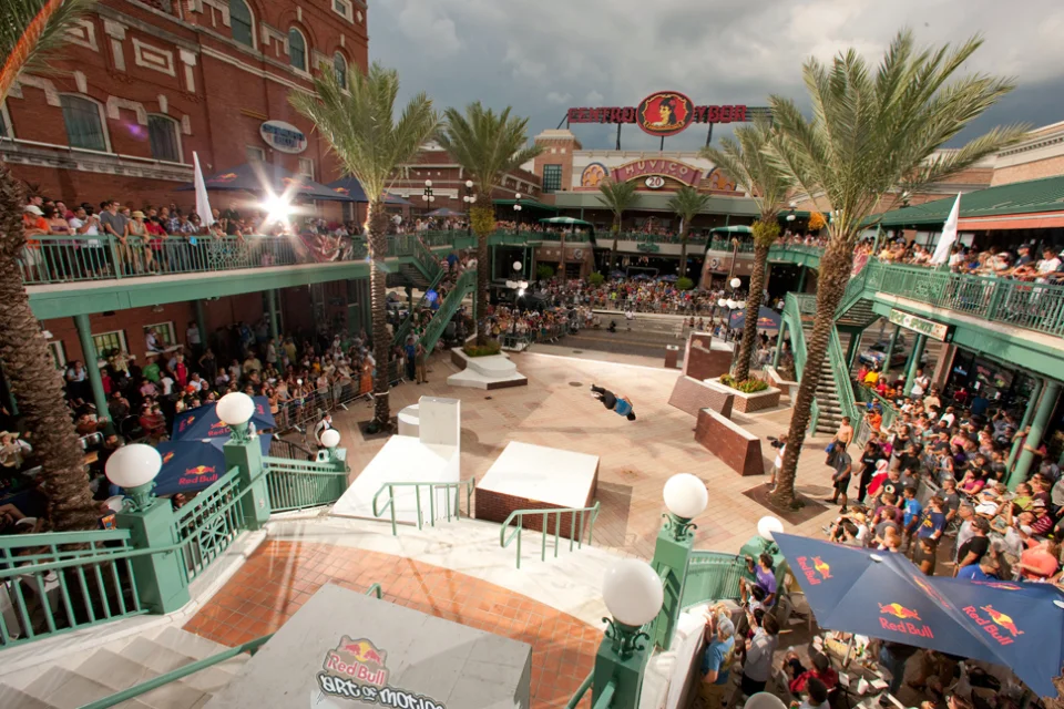 Art of Motion Tampa