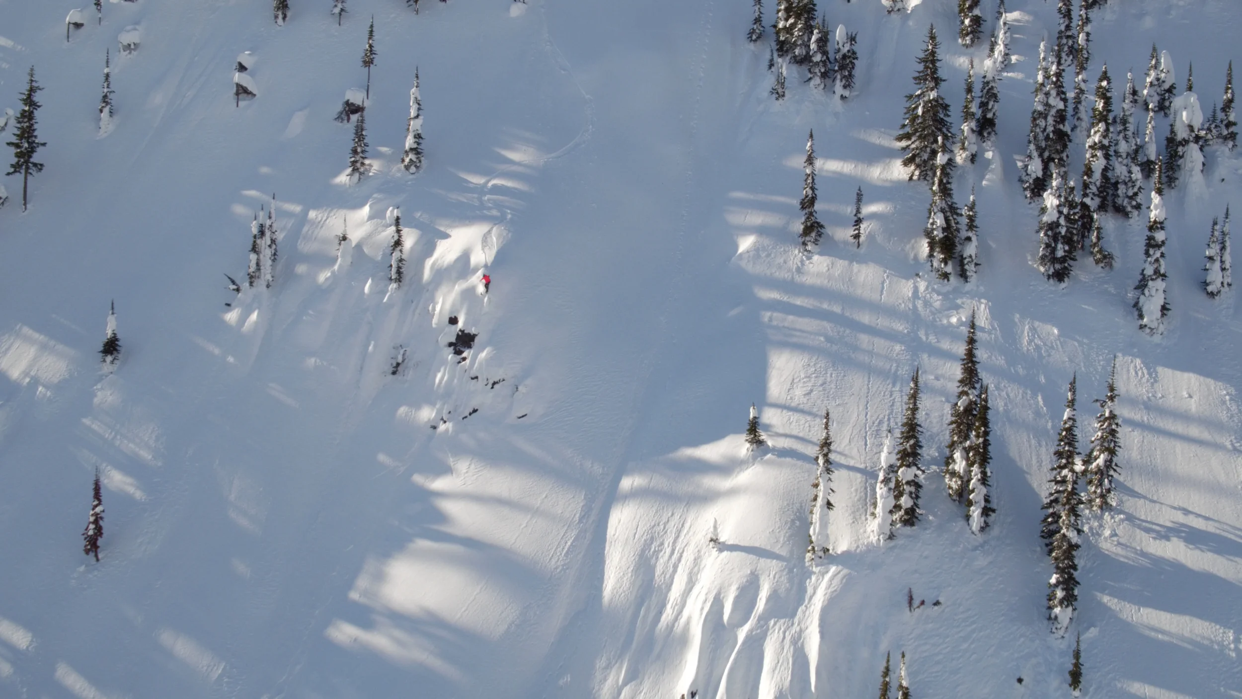 Nixon Snow.jpg