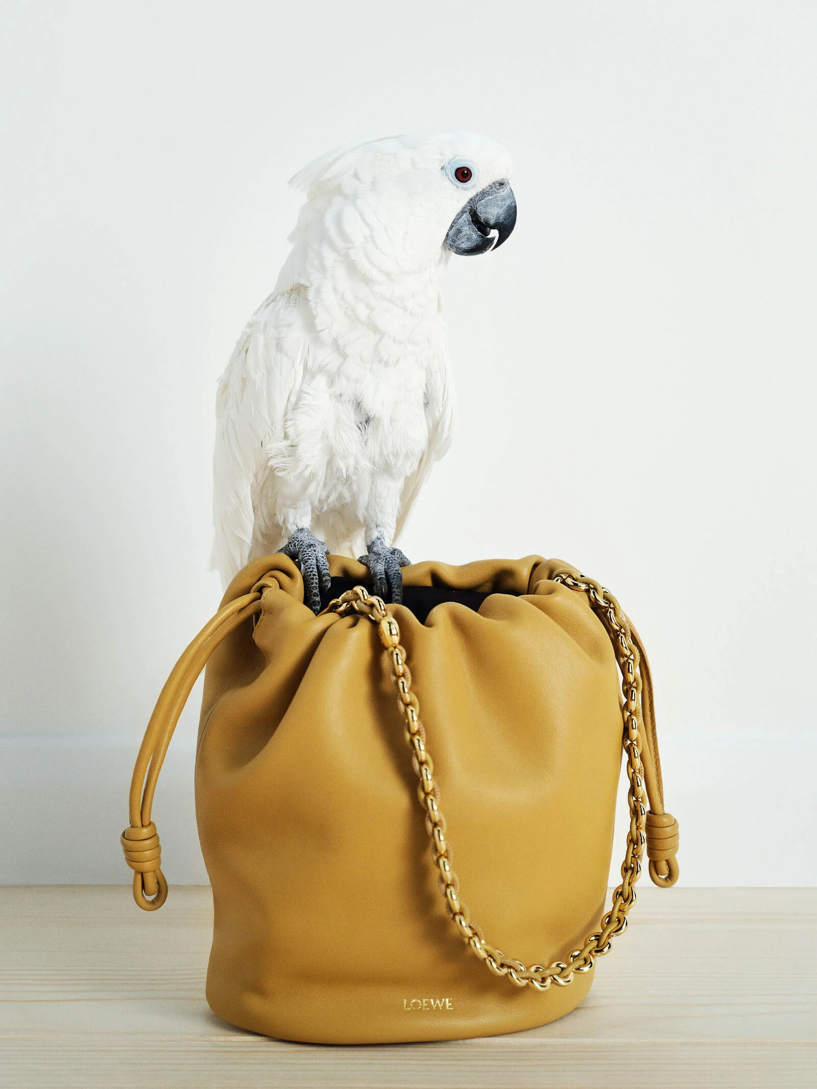 LOEWE_FW24_PAULAS_IBIZA_STILL_LIFE_RGB_CROPPED_2250x3000_39H.png