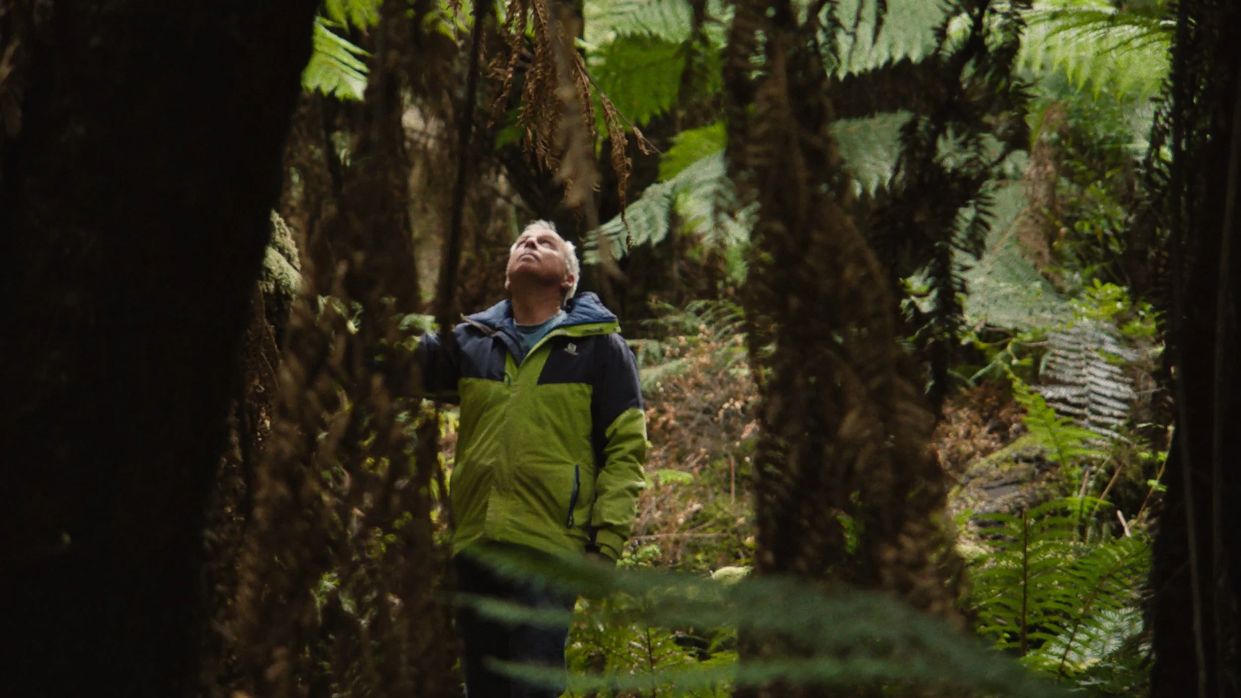 Imports - 1 of 5.jpeg