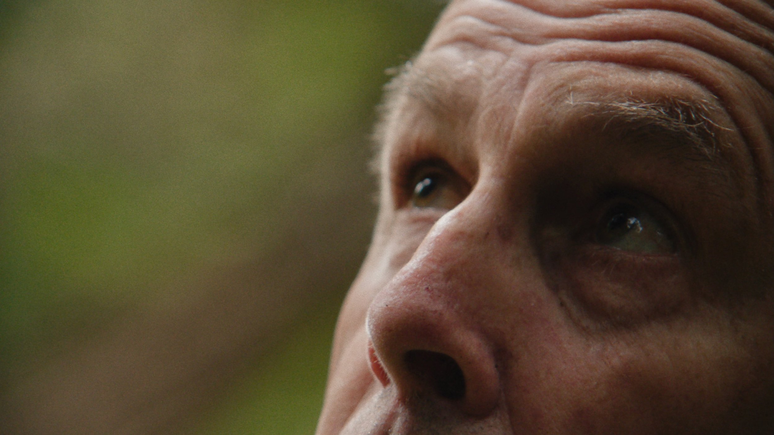 Imports - 2 of 5.jpeg