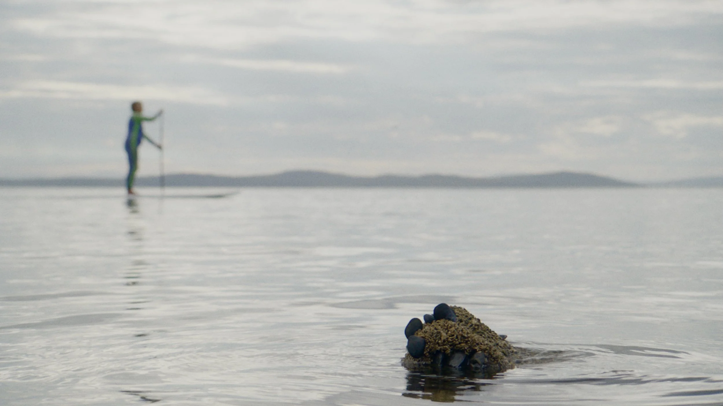 Imports - 5 of 5.jpeg