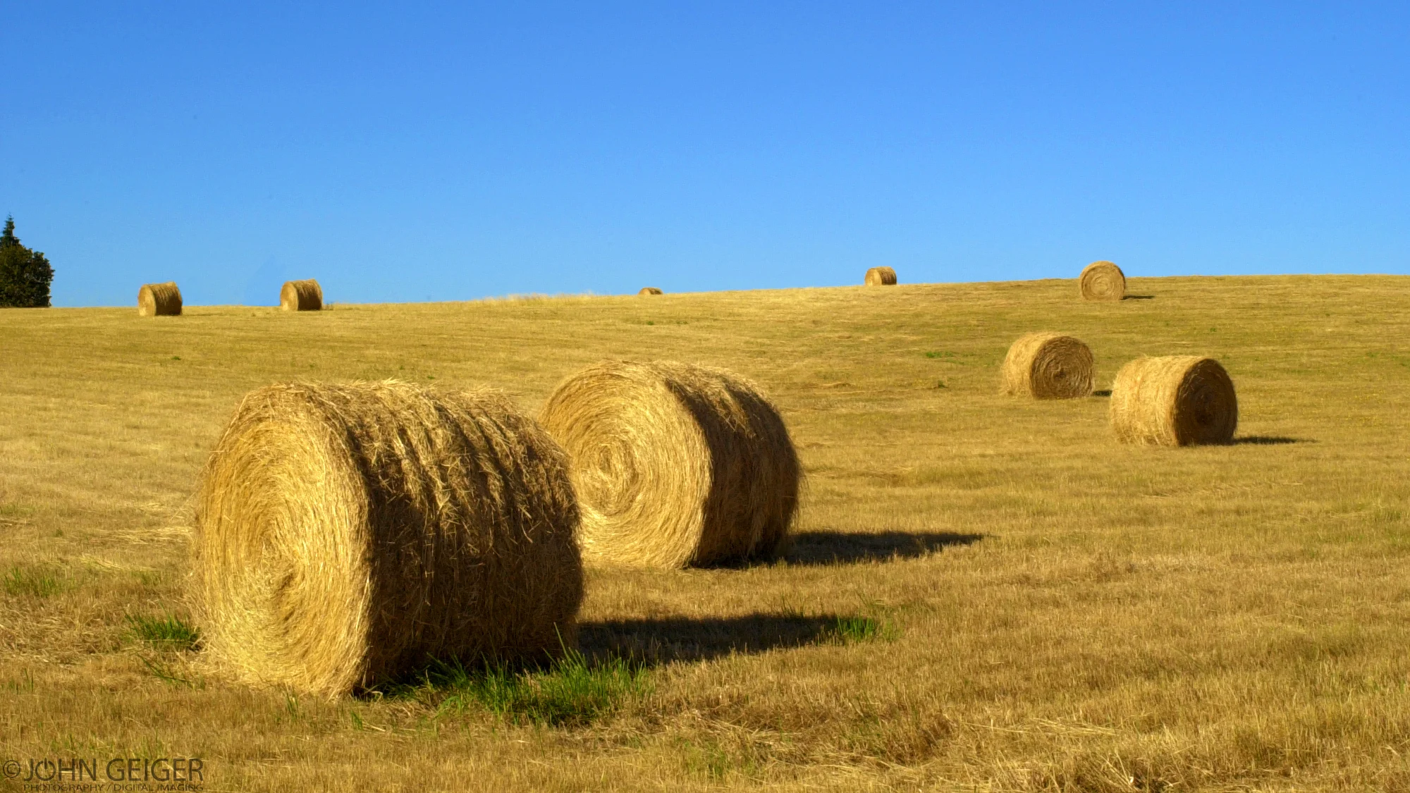 Hay_001v2.jpg