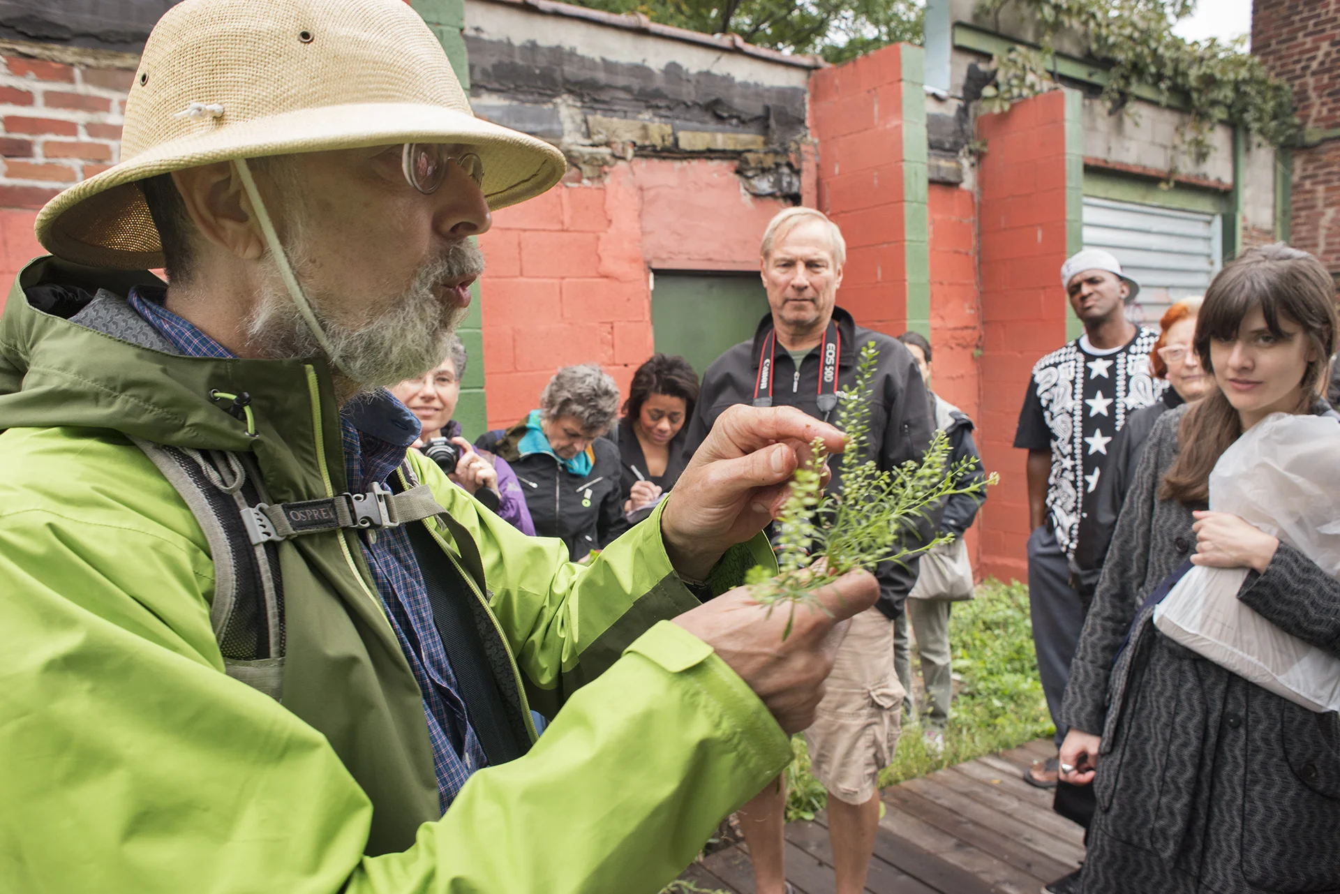 Harvesting, Cooking, Eating Wild Plants Workshop