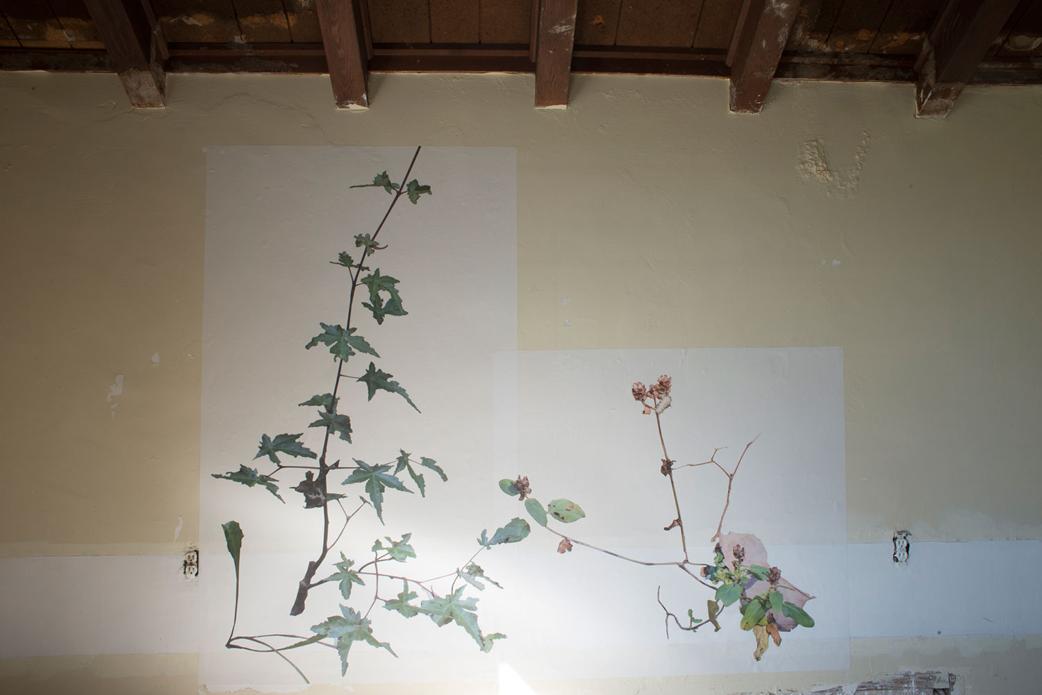 Site-specific installation