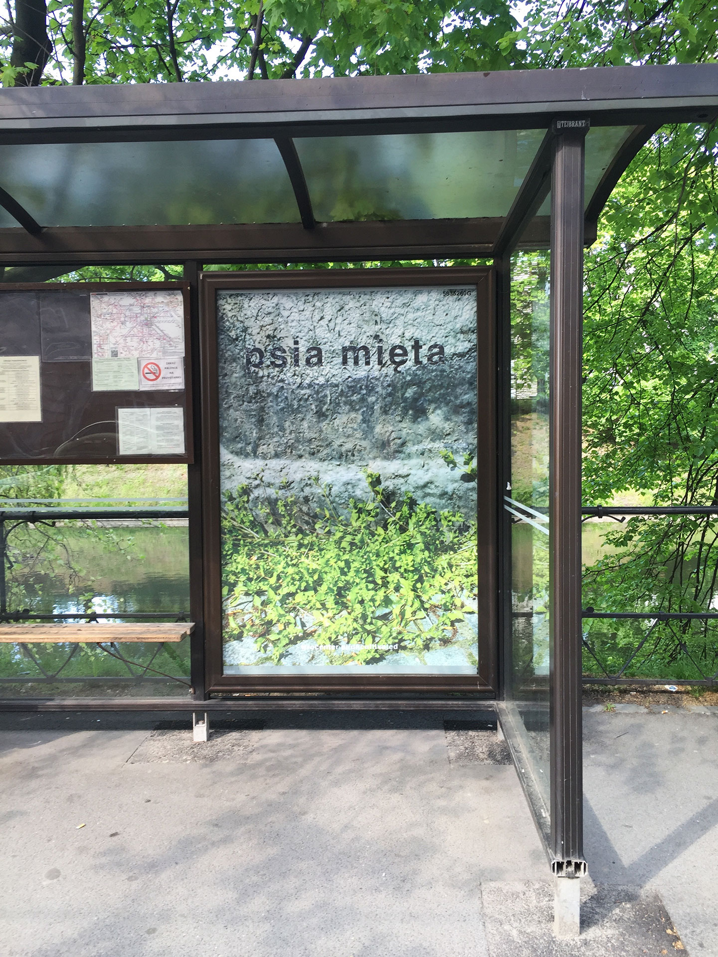 Transit shelter poster