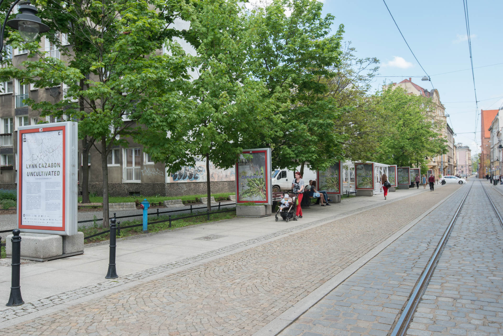 Transit shelter posters