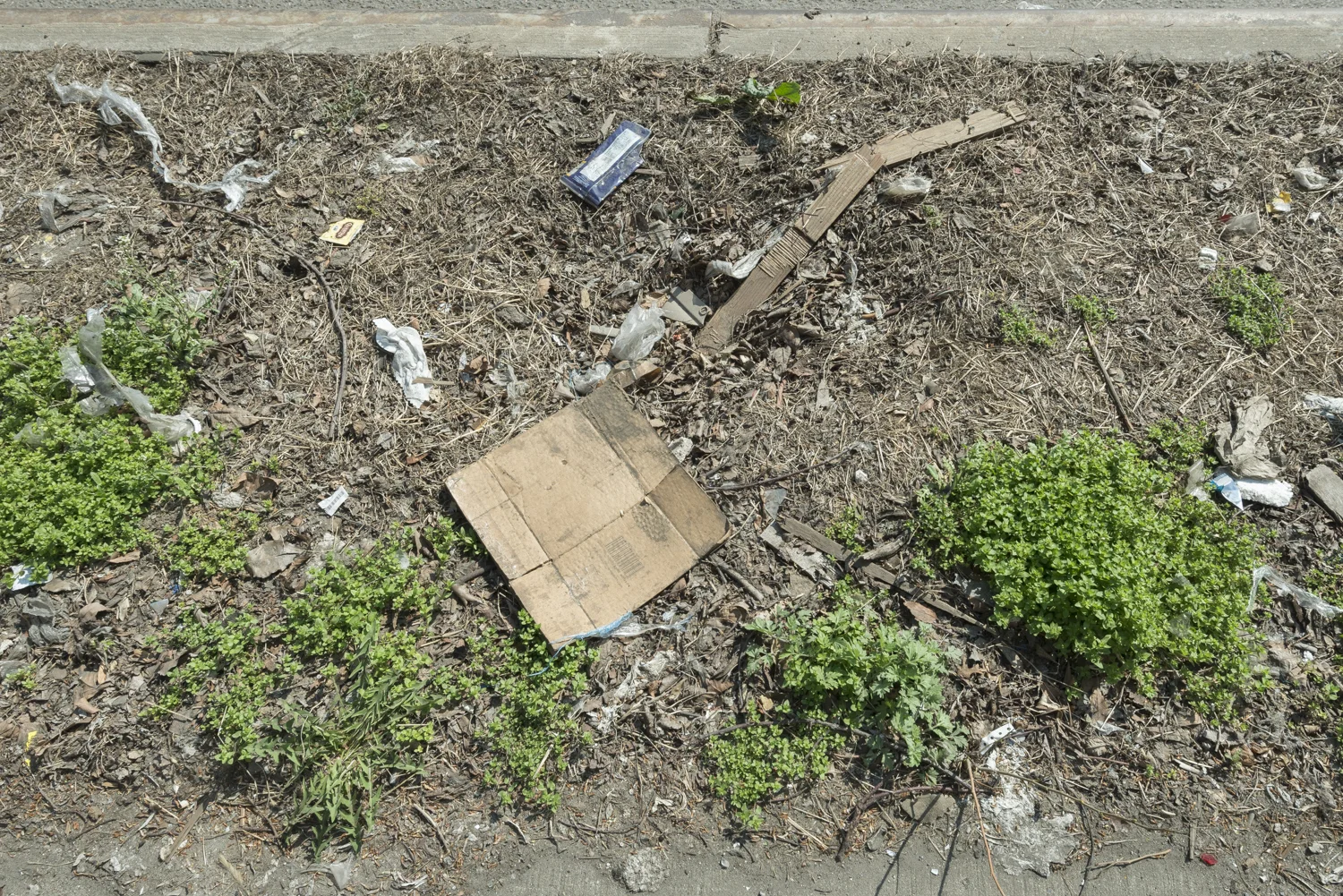 UncultBronx_14.04.18-8834.jpg