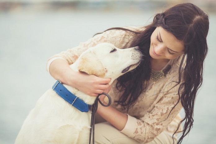 Dog and Human.jpg