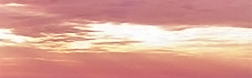 banner.jpg