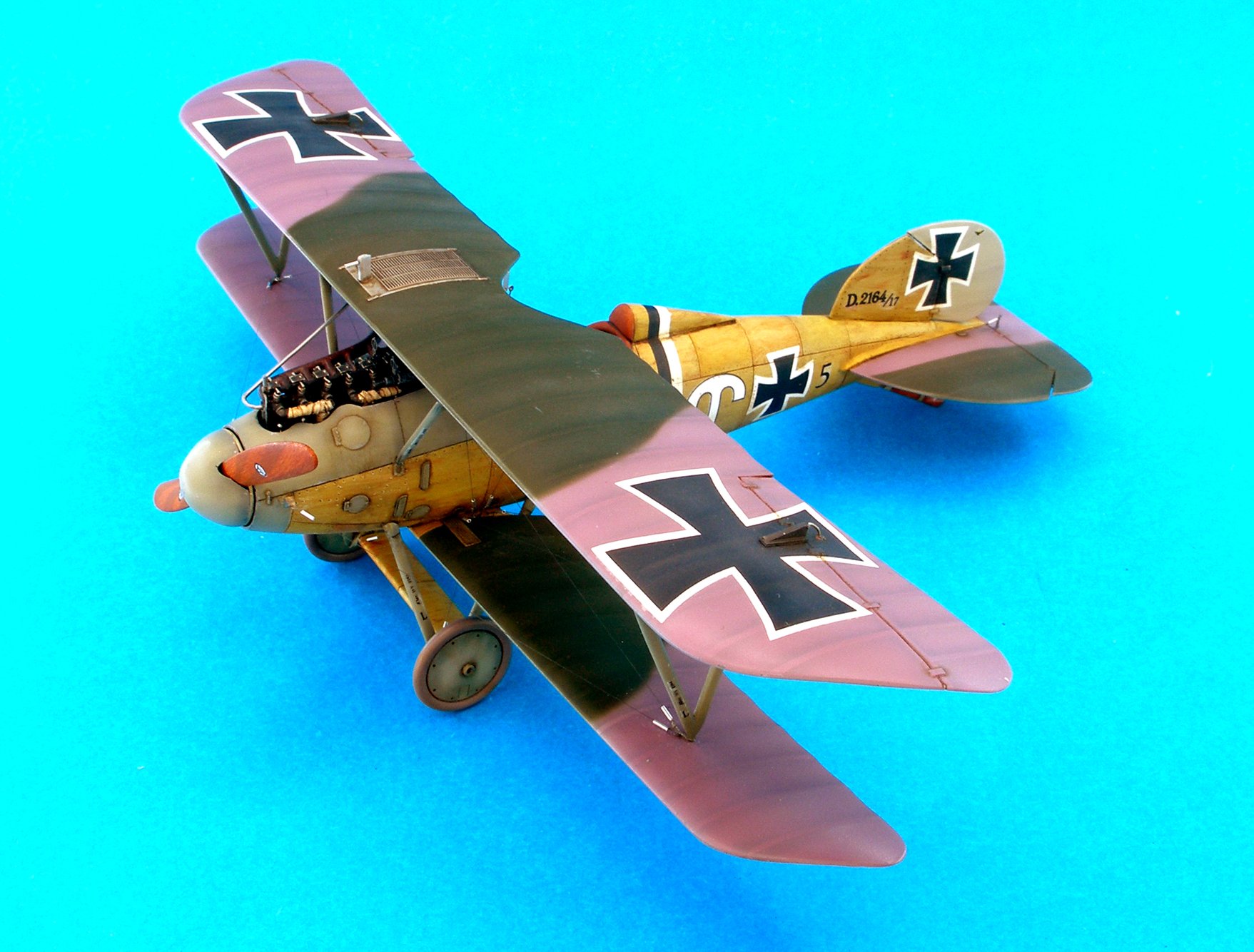 8113AlbDV87.jpg
