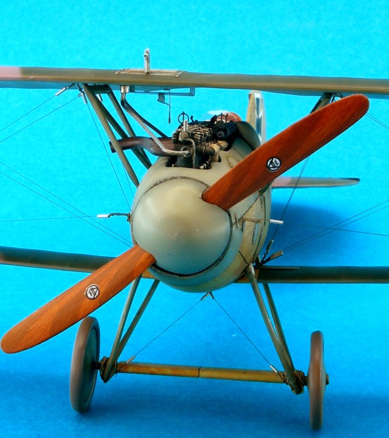 8113AlbDV101.jpg