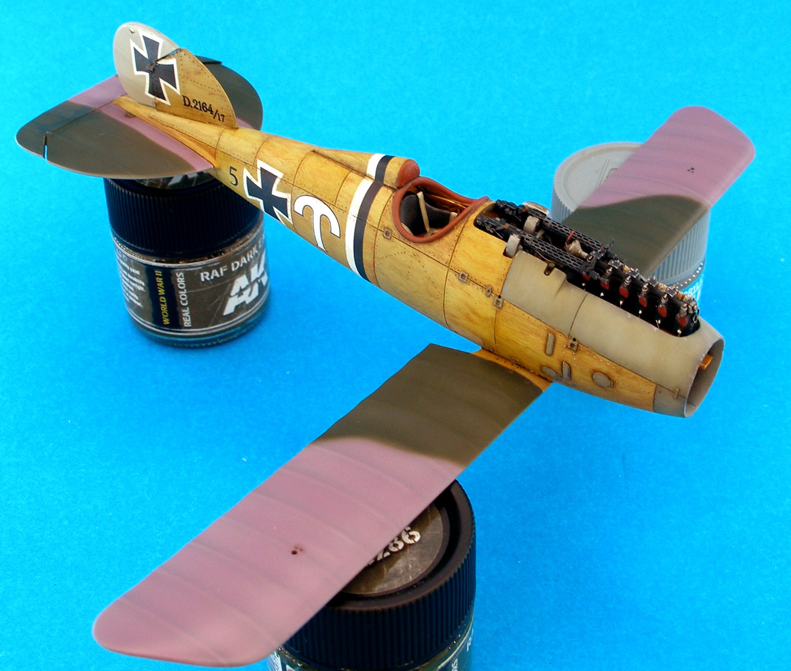 8113AlbDV74.jpg