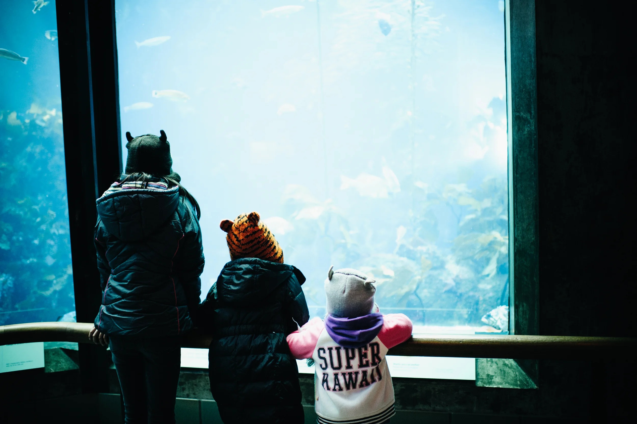 Monterey 2013 060.JPG