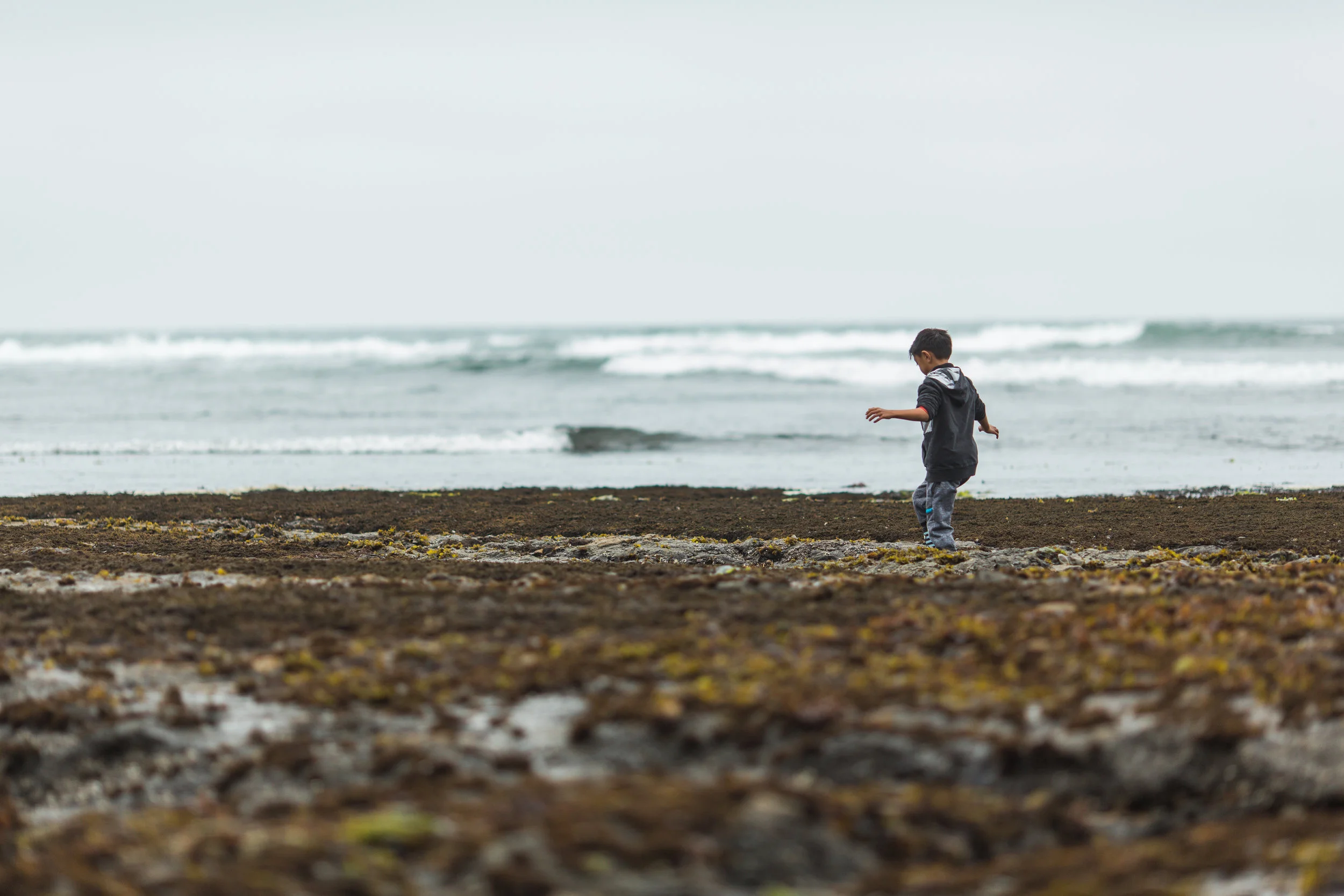 MOSS BEACH 033.jpg