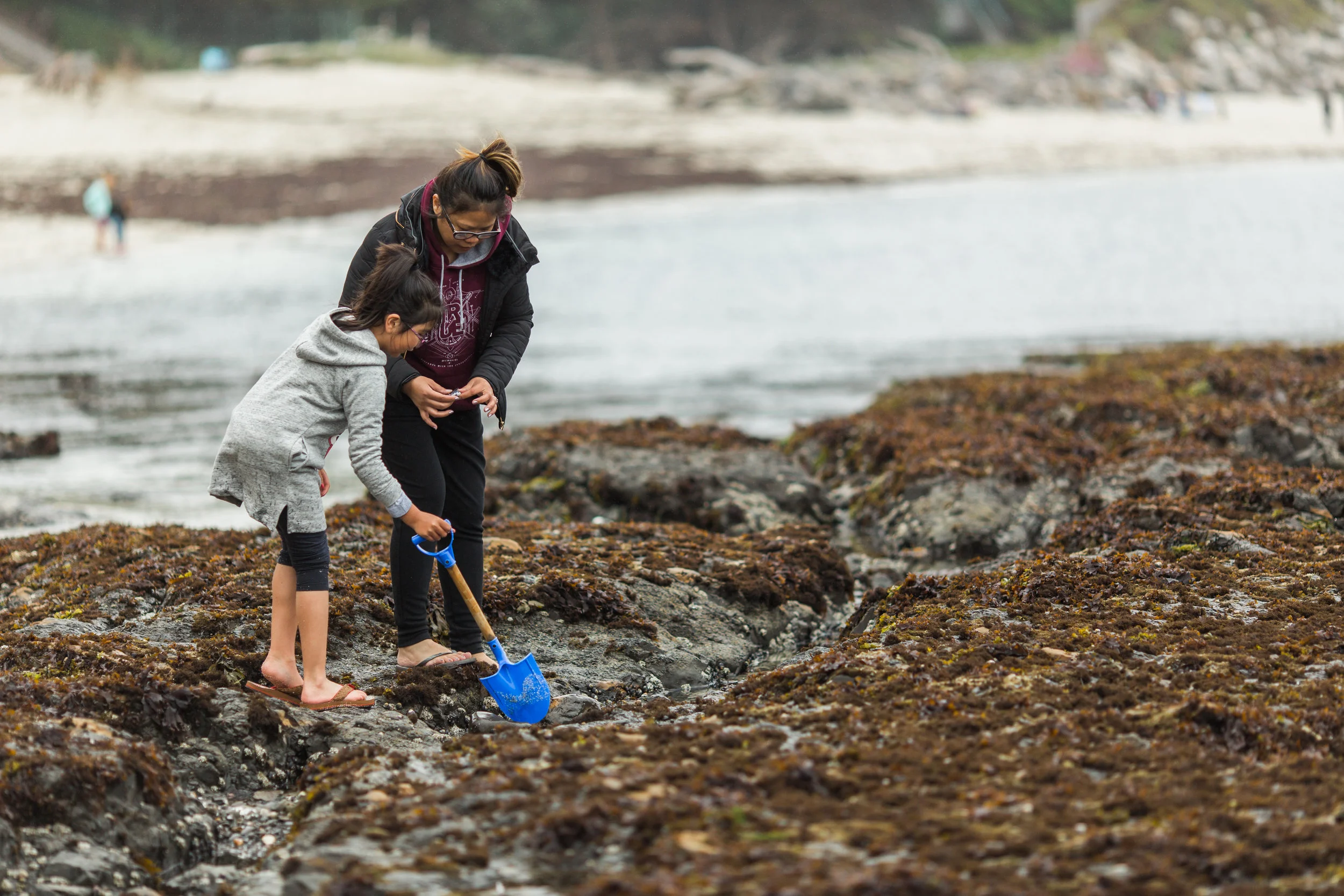 MOSS BEACH 029.jpg