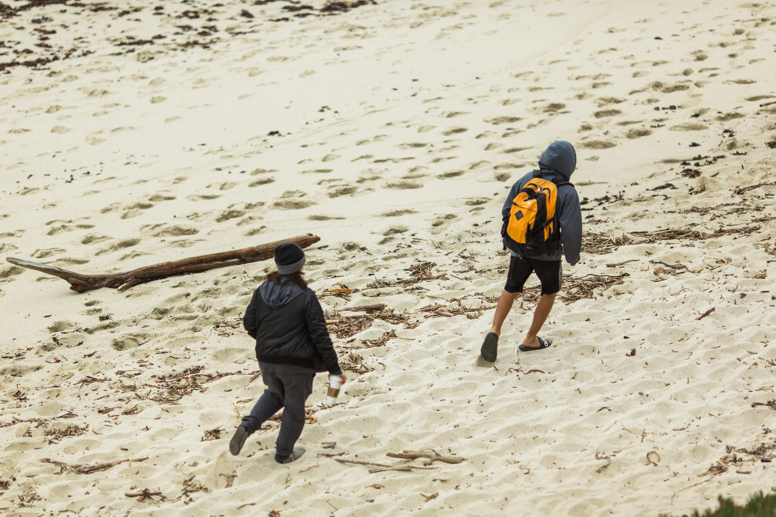 MOSS BEACH 001.jpg