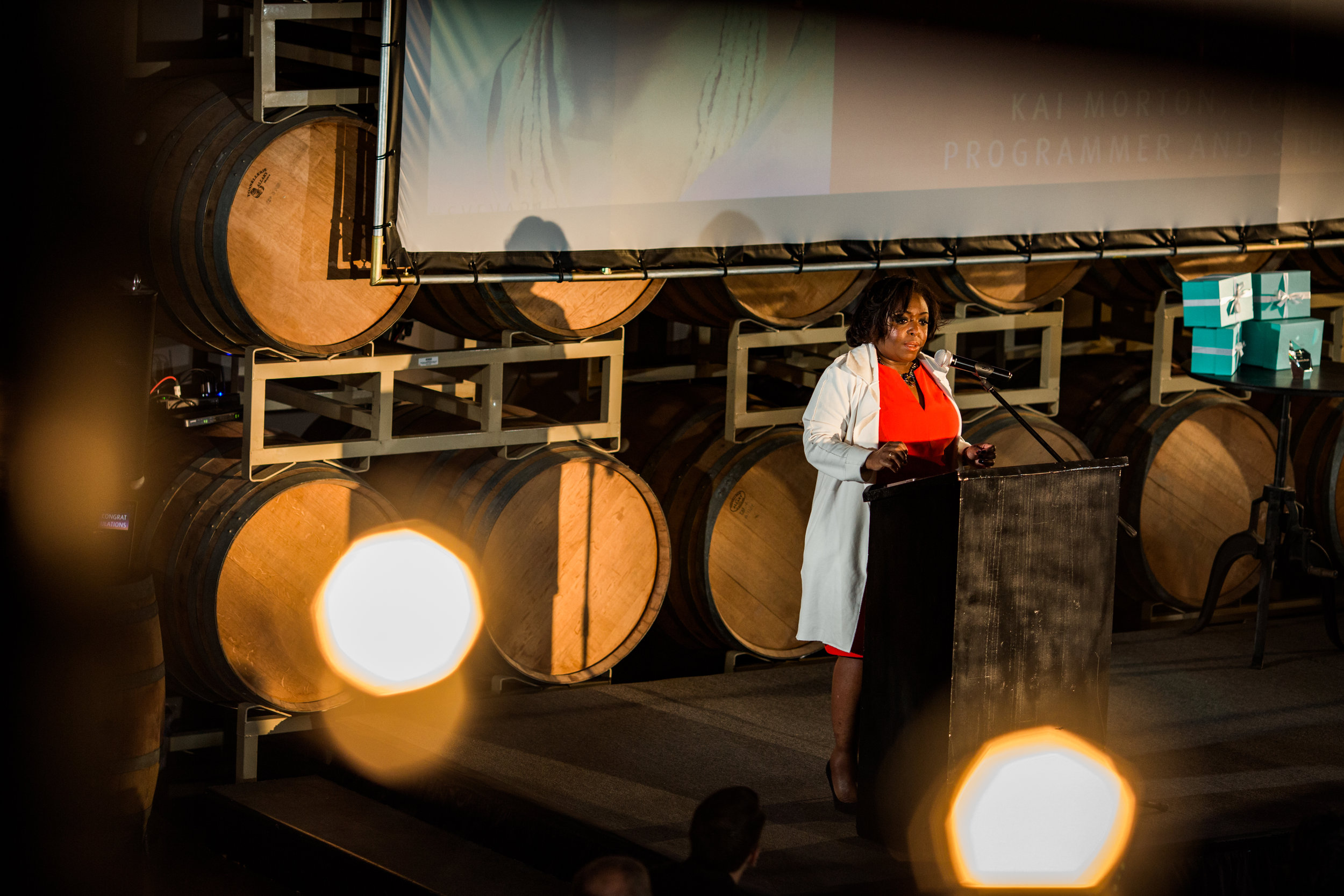 21st Annual Visionary Awards 333.JPG