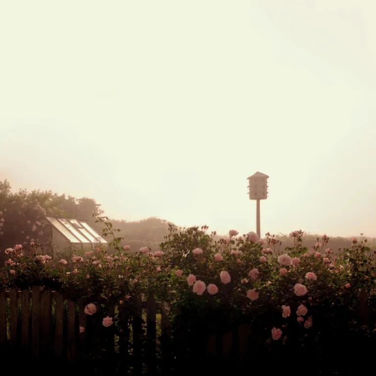 sdfphoto.JPG