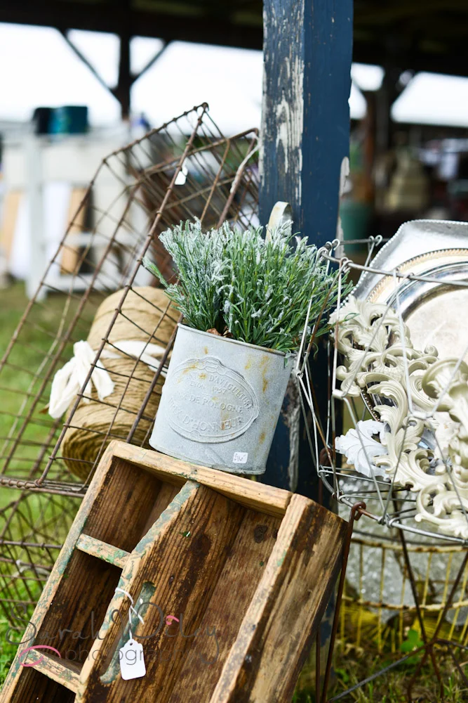 EnchantedMarket-27.jpg