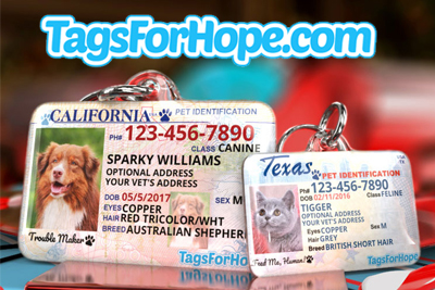 tag pet rescue dogs