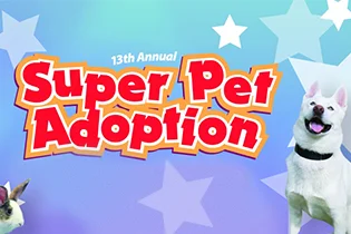 Adoption Event