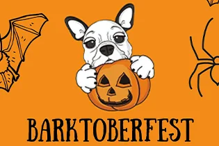 Adoption Event