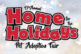 Pet Adoption Fair
