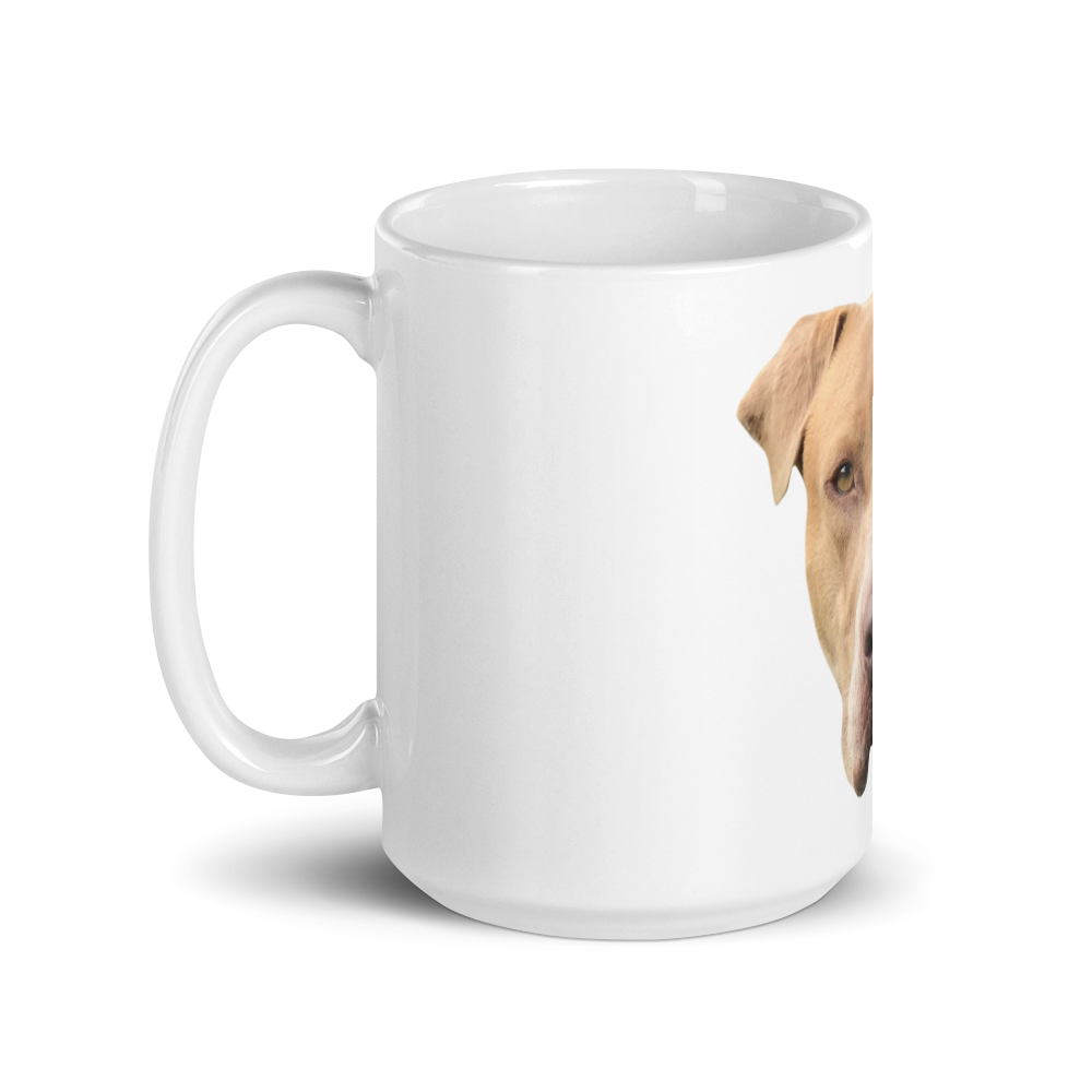 white-glossy-mug-15oz-handle-on-left-6196eafa187c8.png