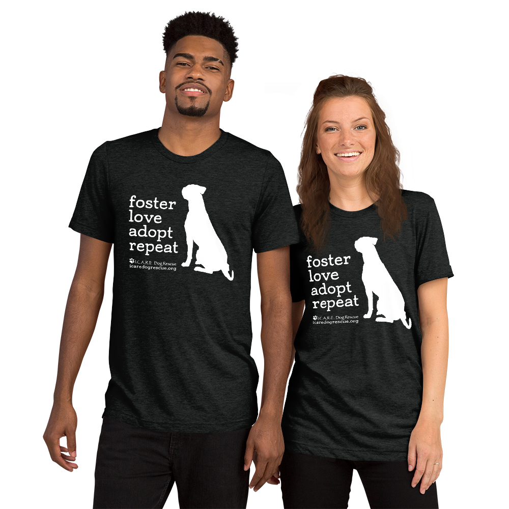 unisex-tri-blend-t-shirt-charcoal-black-triblend-front-6350f1f03ab0e.png
