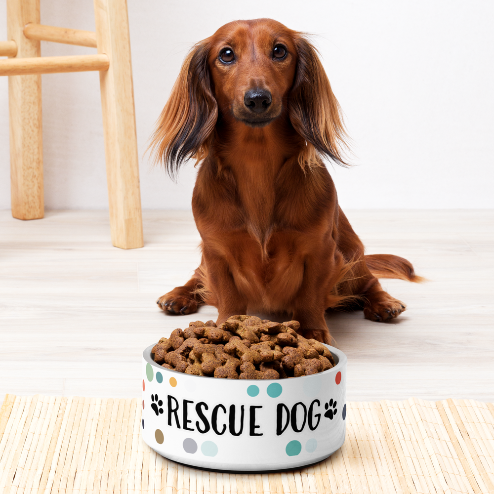 Rescue Dog | Pet Bowl (2 sizes) — I.C.A.R.E. Dog Rescue
