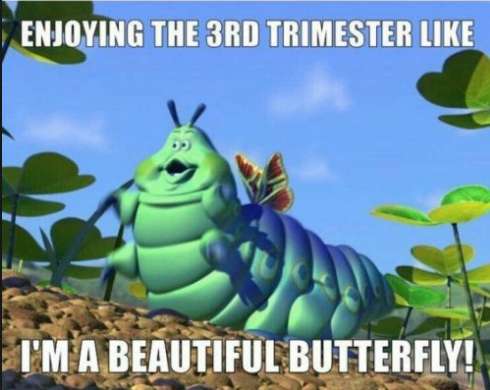 But for real I looked like this caterpillar, just with more chins.