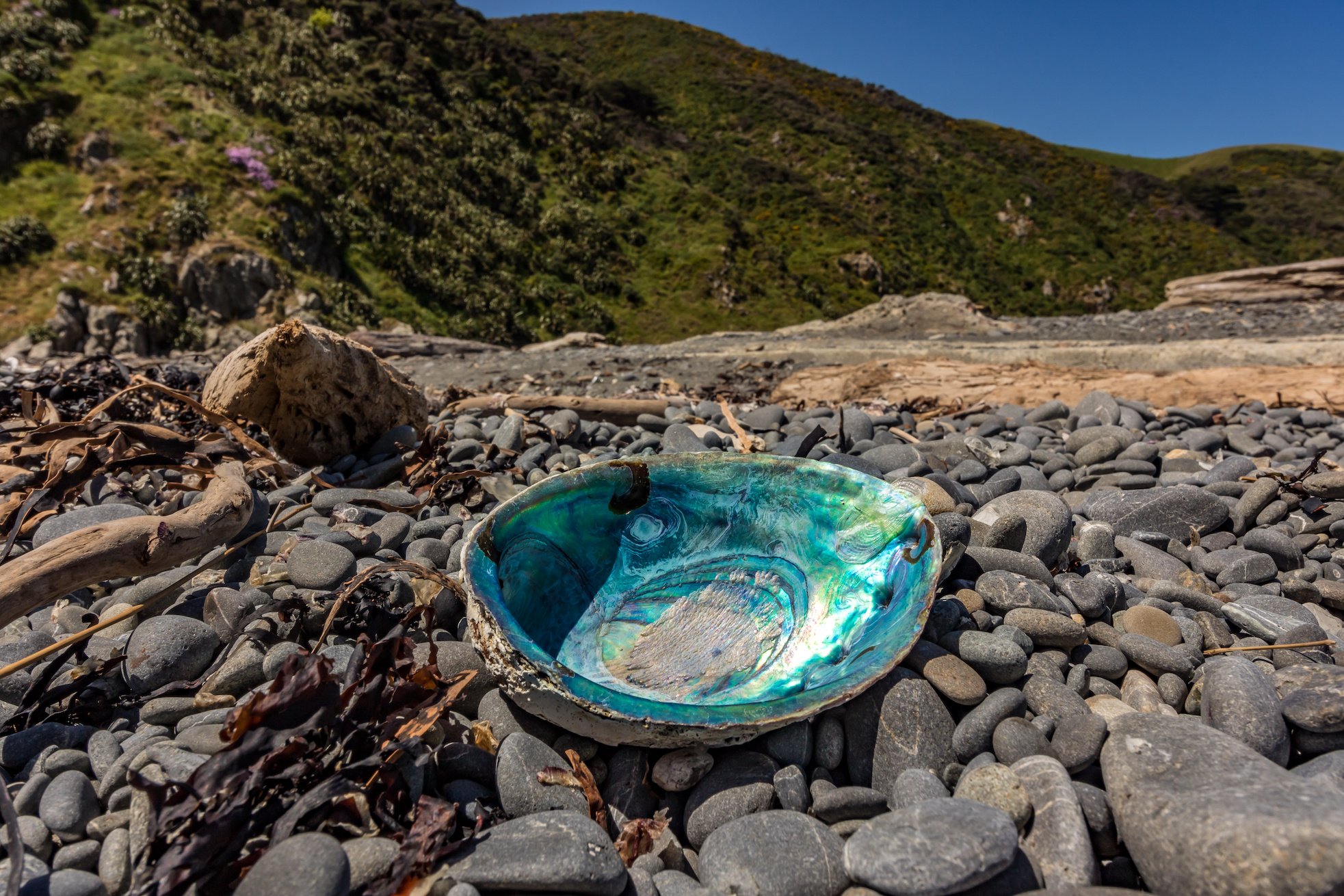 AdobeStock_179200557.jpeg