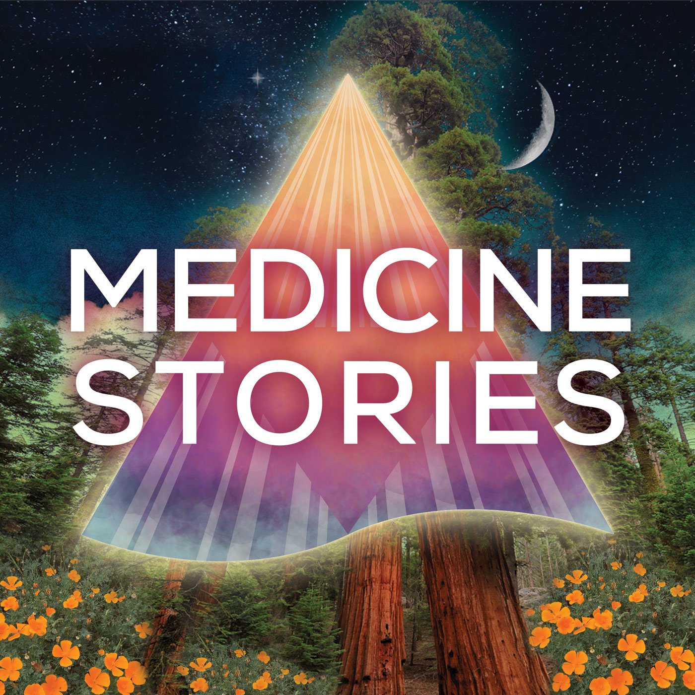 109. Loving Ourselves Home: Finding Sanctuary in Herbal Medicine - Kami McBride